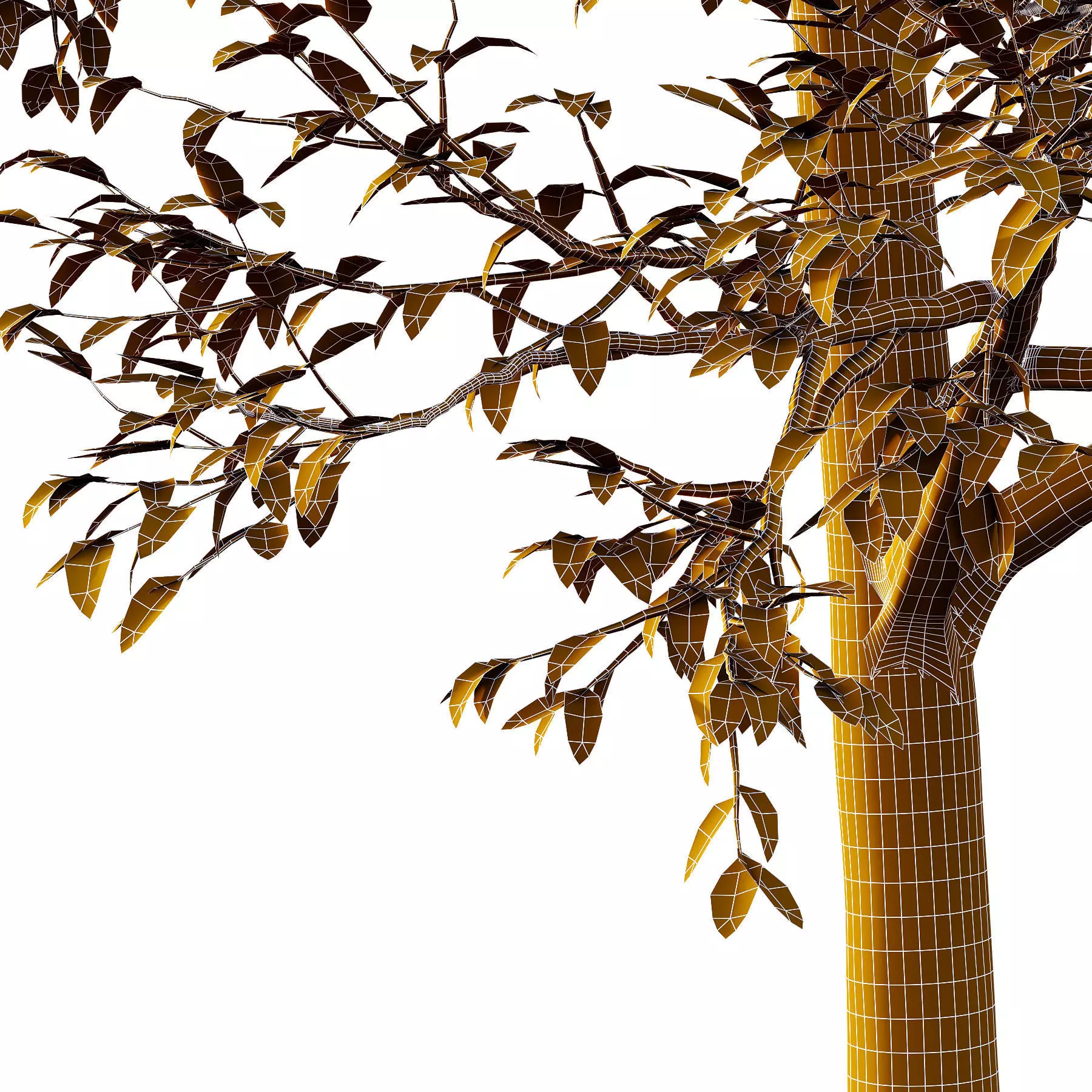 Excellent collection of Tree plants 16 Different Models 0019 _26