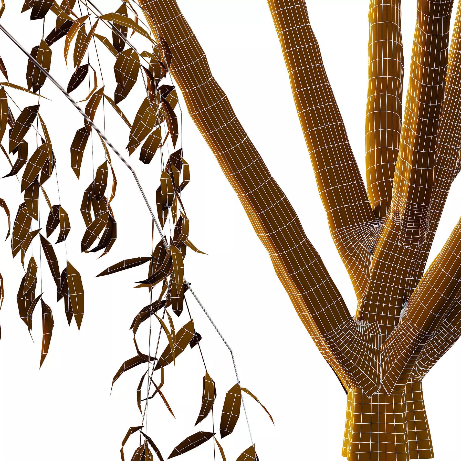 Excellent collection of Tree plants 16 Different Models 0019 _23