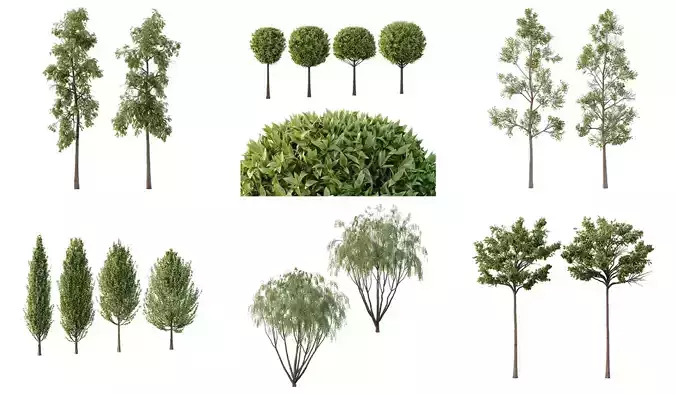 Excellent collection of Tree plants 16 Different Models 0019  Excellent collection of Tree plants 16 Different Models 0019