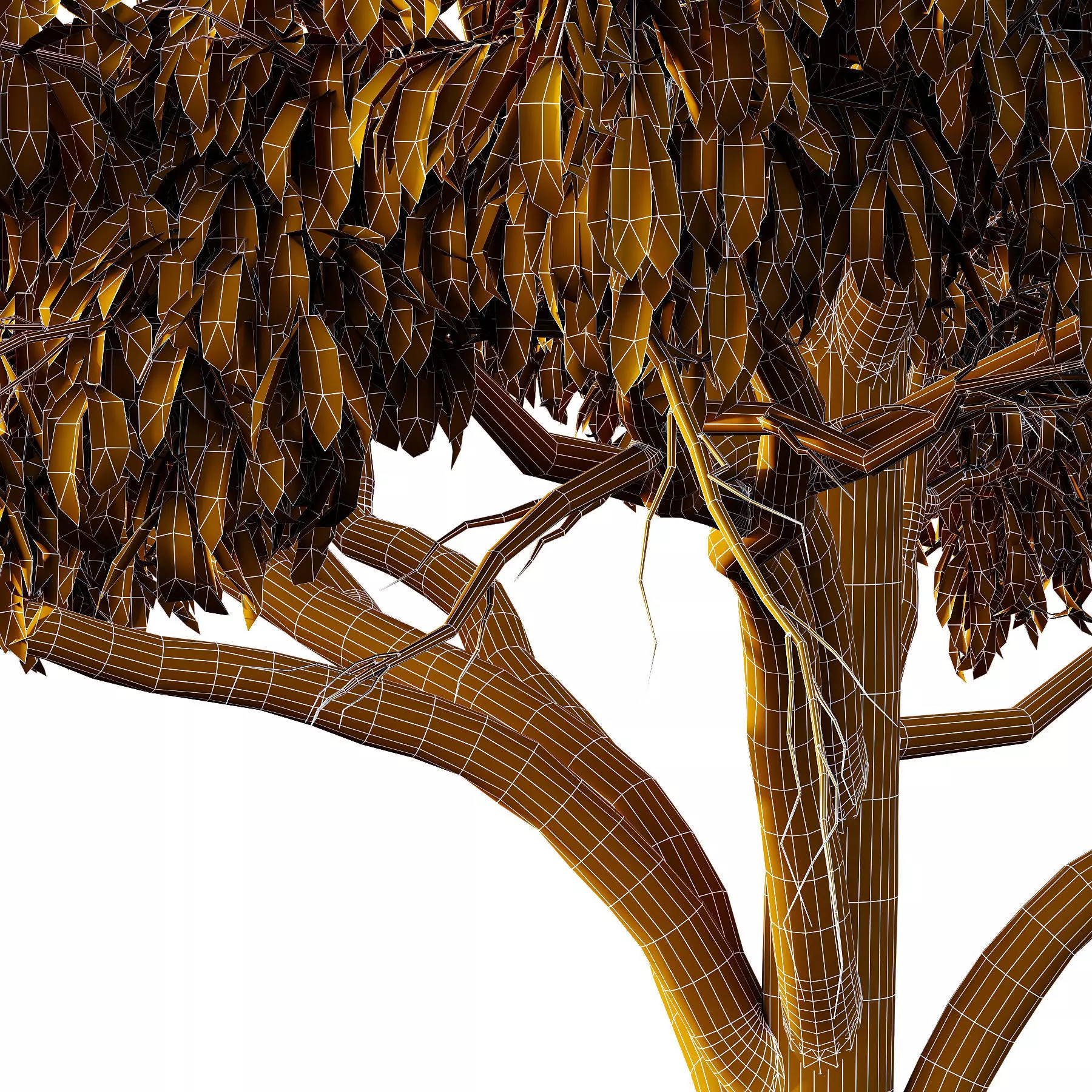 Excellent collection of Tree plants 16 Different Models 0019 _24