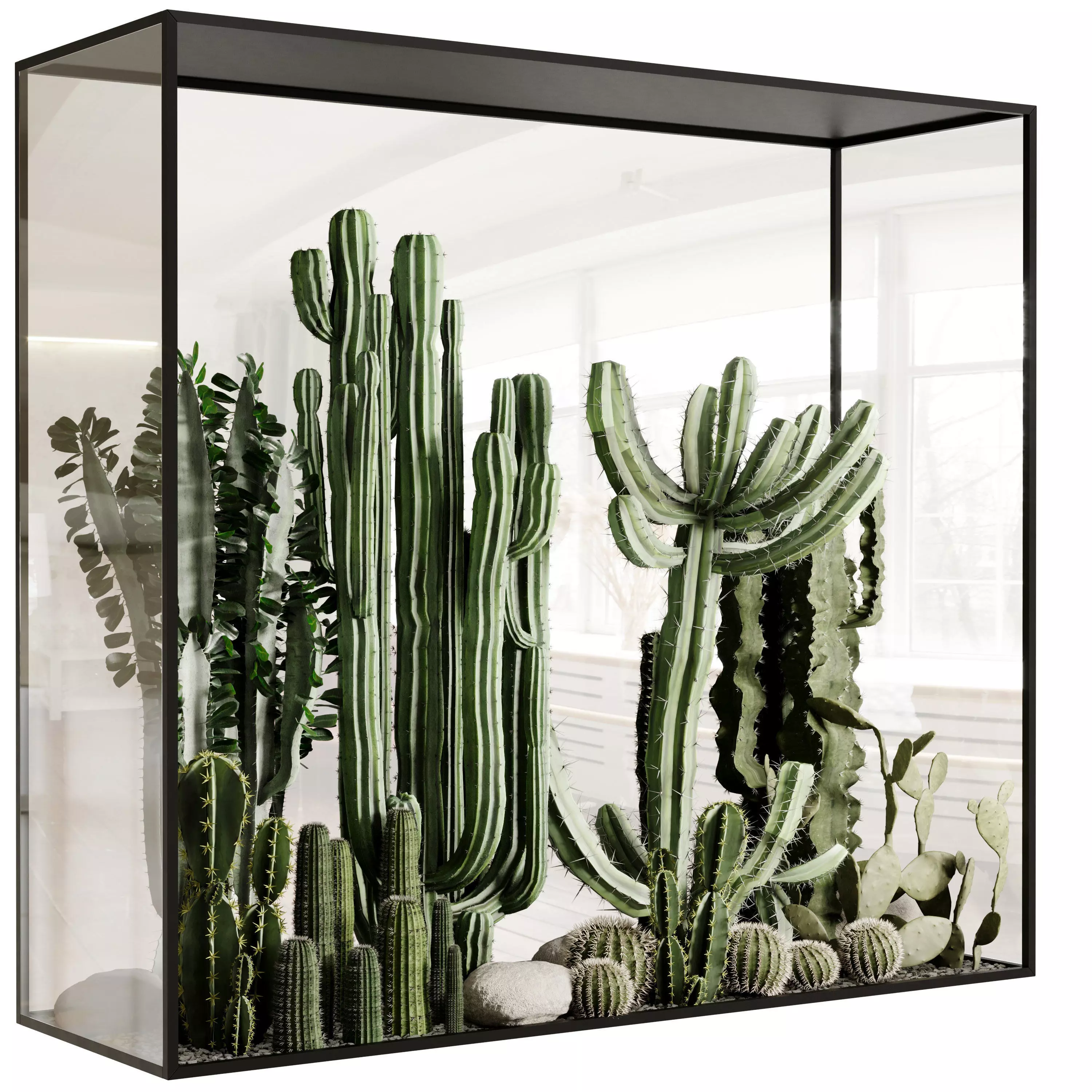 Plants behind glass - collection indoor plant cactus 696 3D model