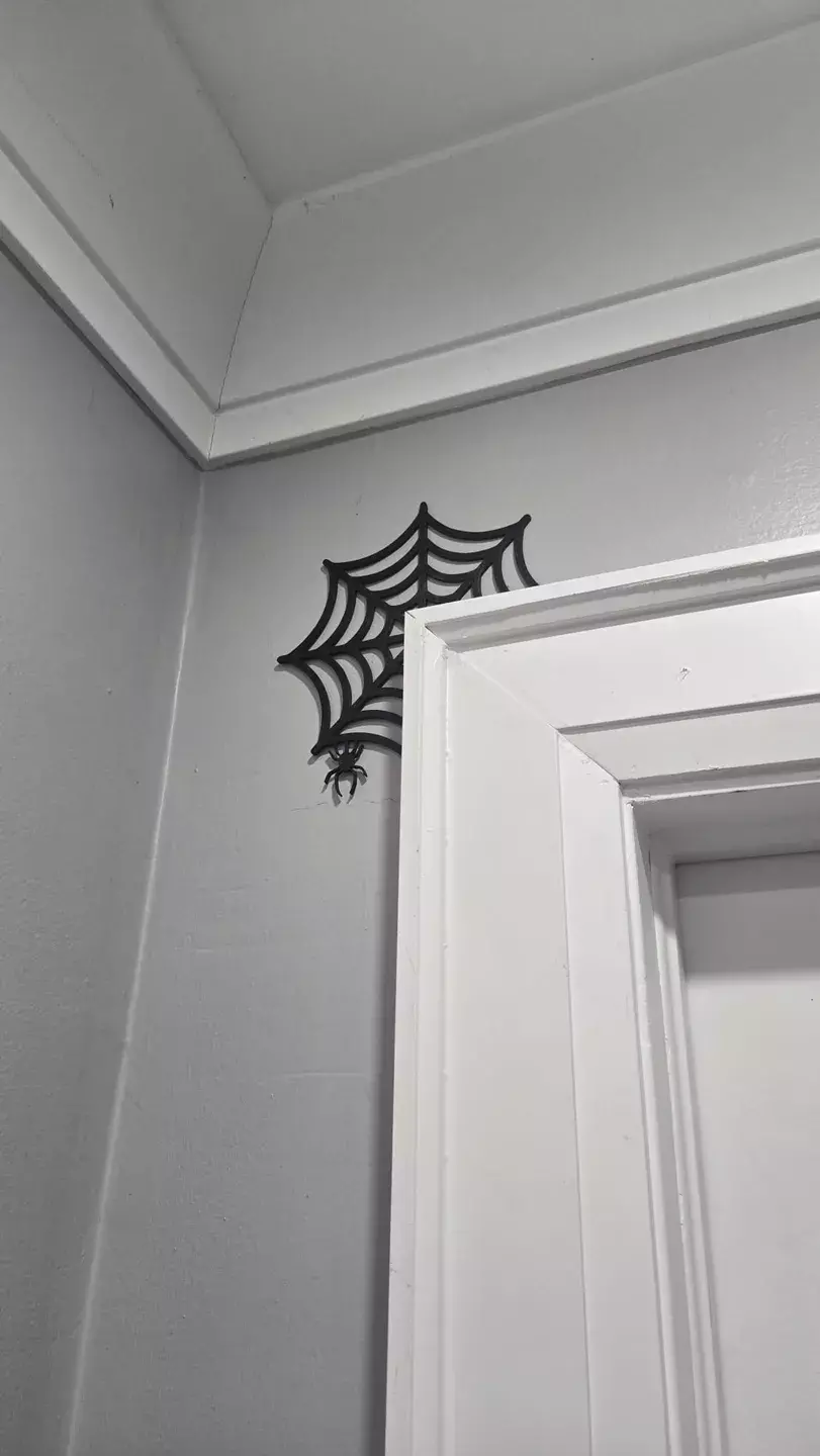 Spiderweb Door Corner 3D print model_1