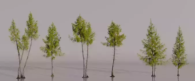 Pine Tree Pack 