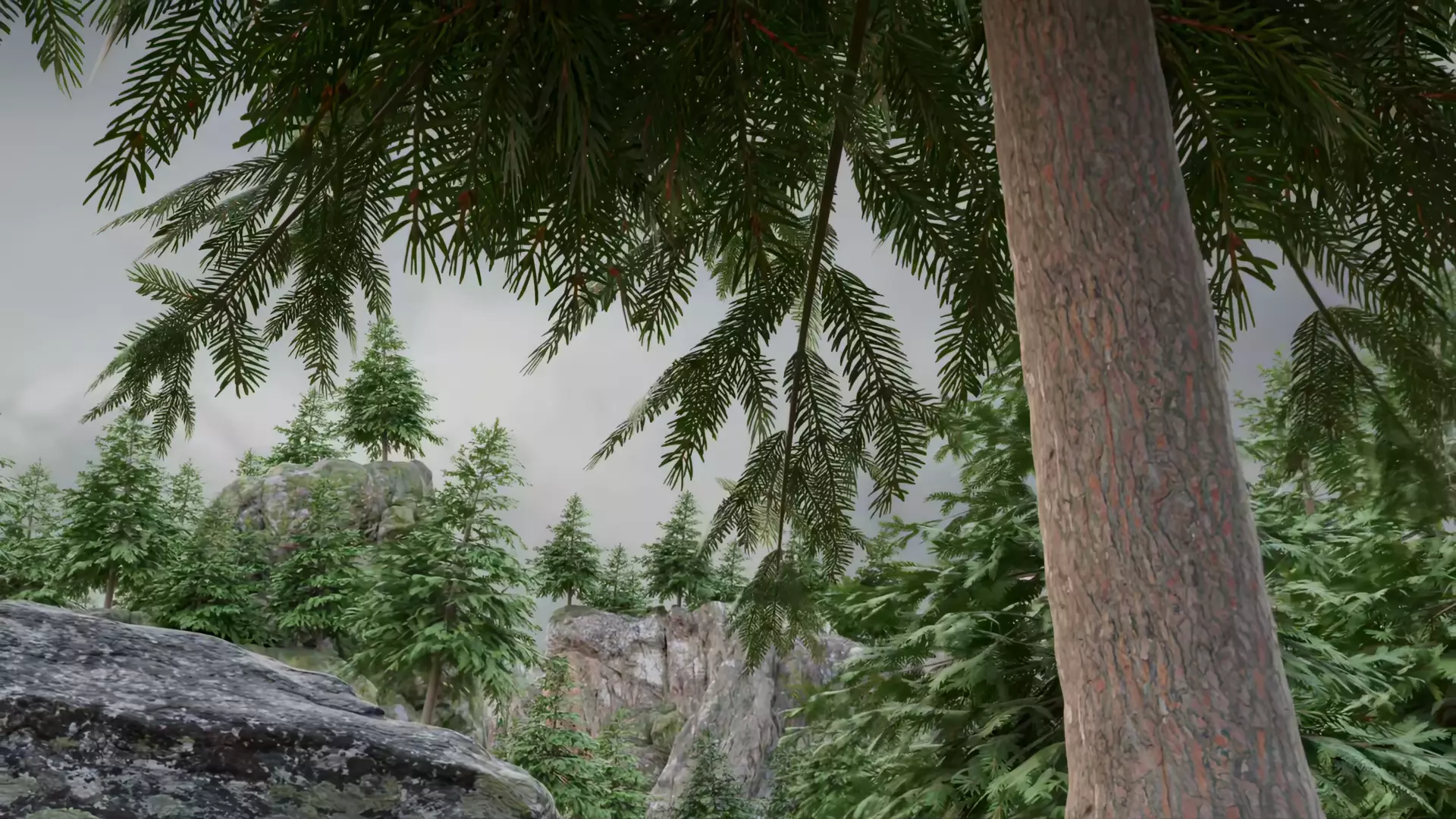 Pine Tree Free 3D model