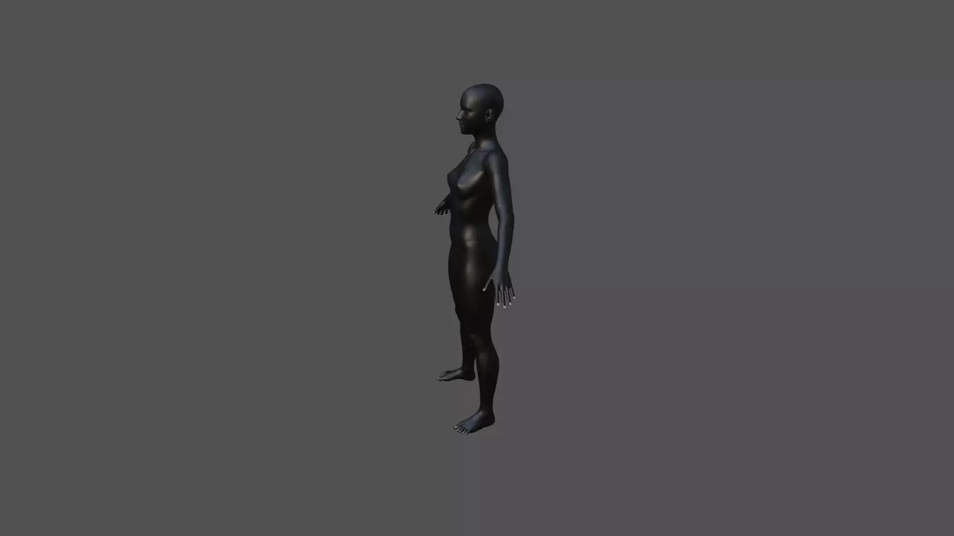 Female Body 43 3D model_2