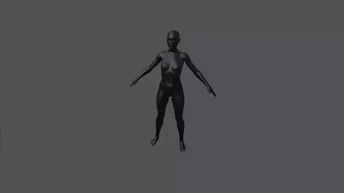 Female Body 43 3D model Female Body 43 3D model