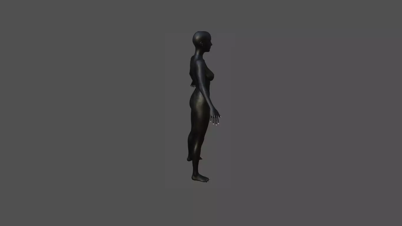 Female Body 44 3D model_5