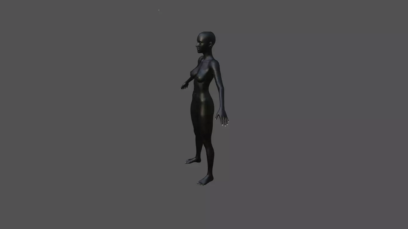 Female Body 44 3D model_1