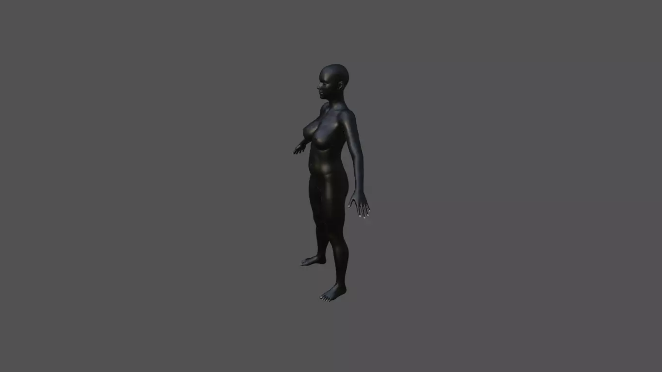 Female Body 45 3D model_1