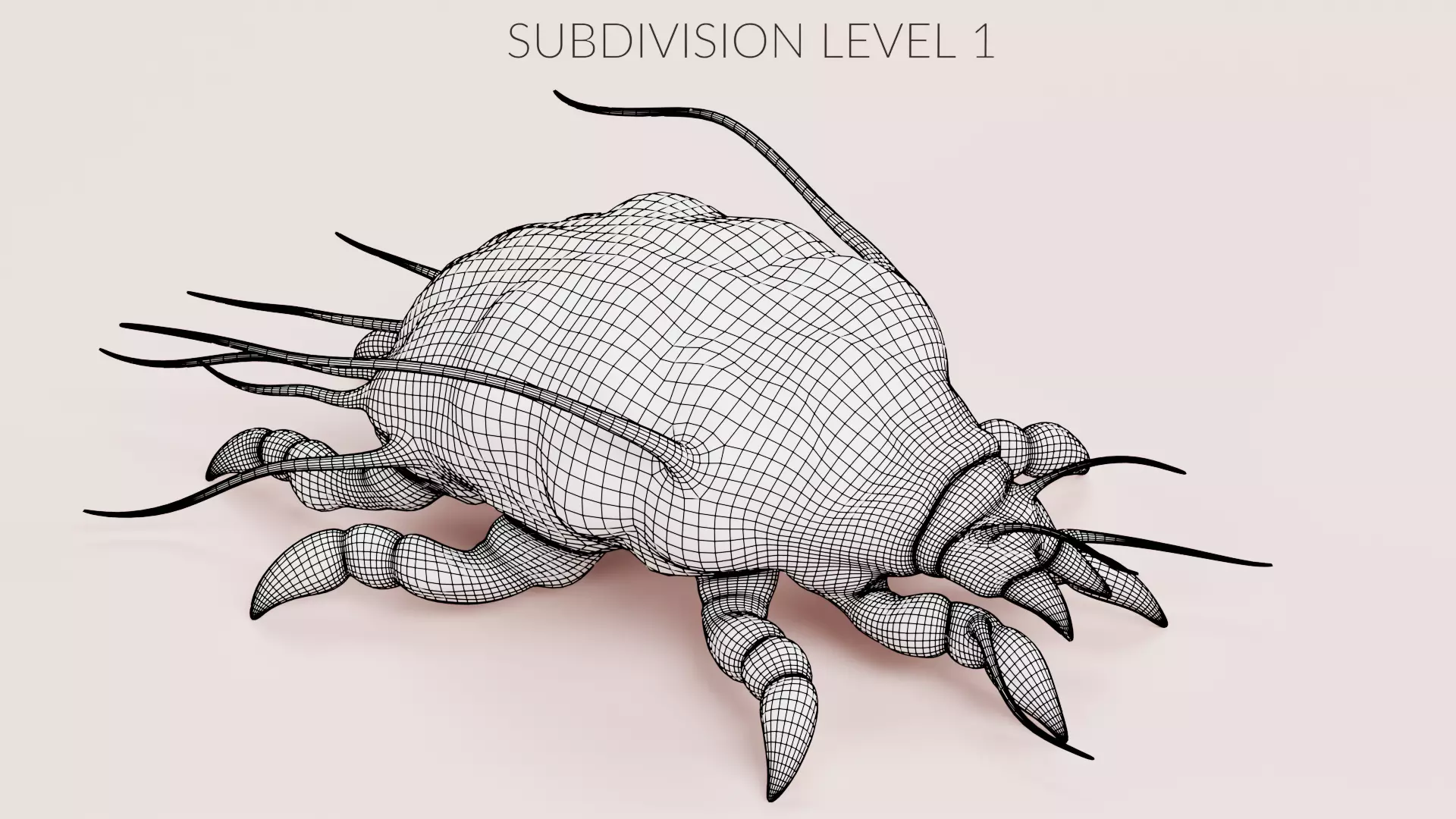Scabies Mite Low-poly 3D model_10