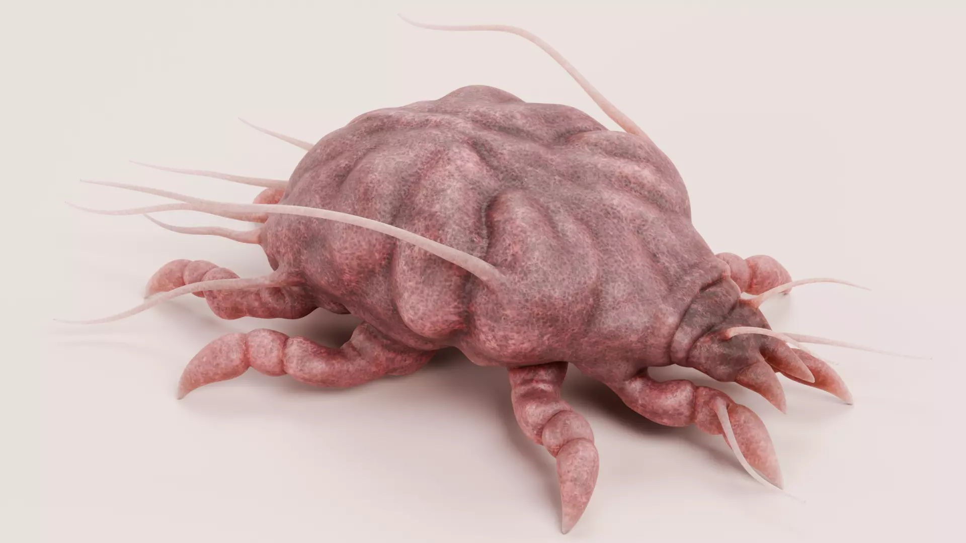 Scabies Mite Low-poly 3D model_0