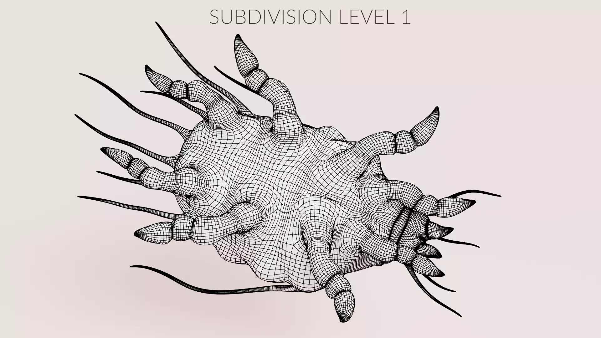 Scabies Mite Low-poly 3D model_12