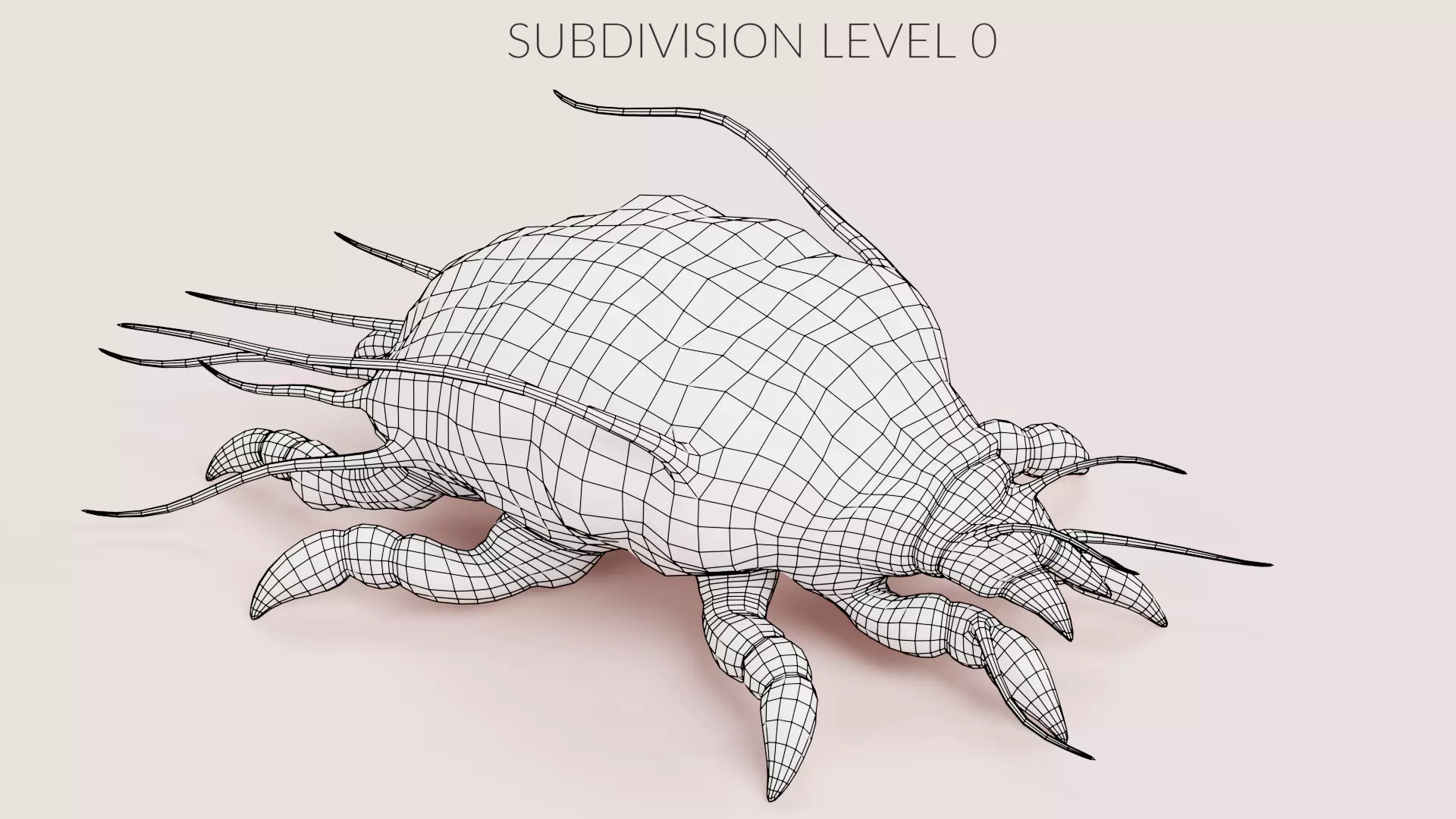 Scabies Mite Low-poly 3D model_9