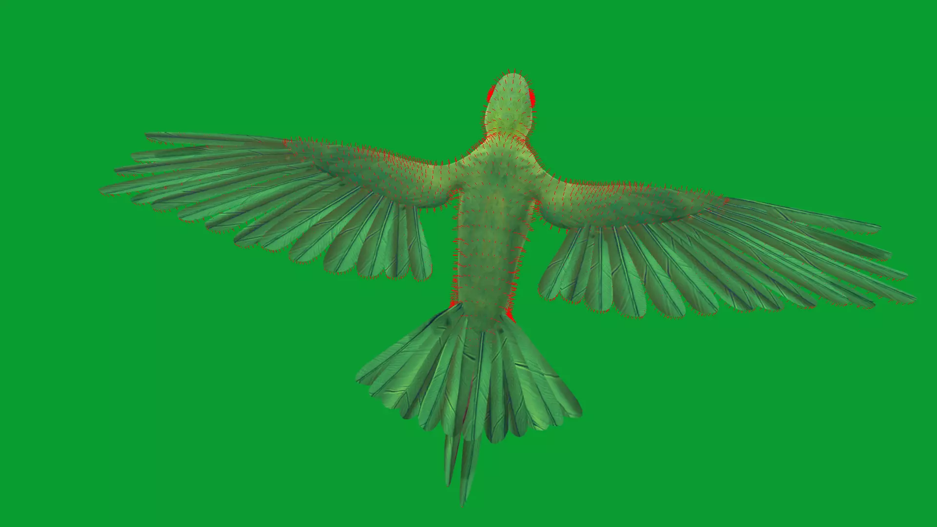 Chestnut Fronted Macaw Bird Low-poly 3D model_31