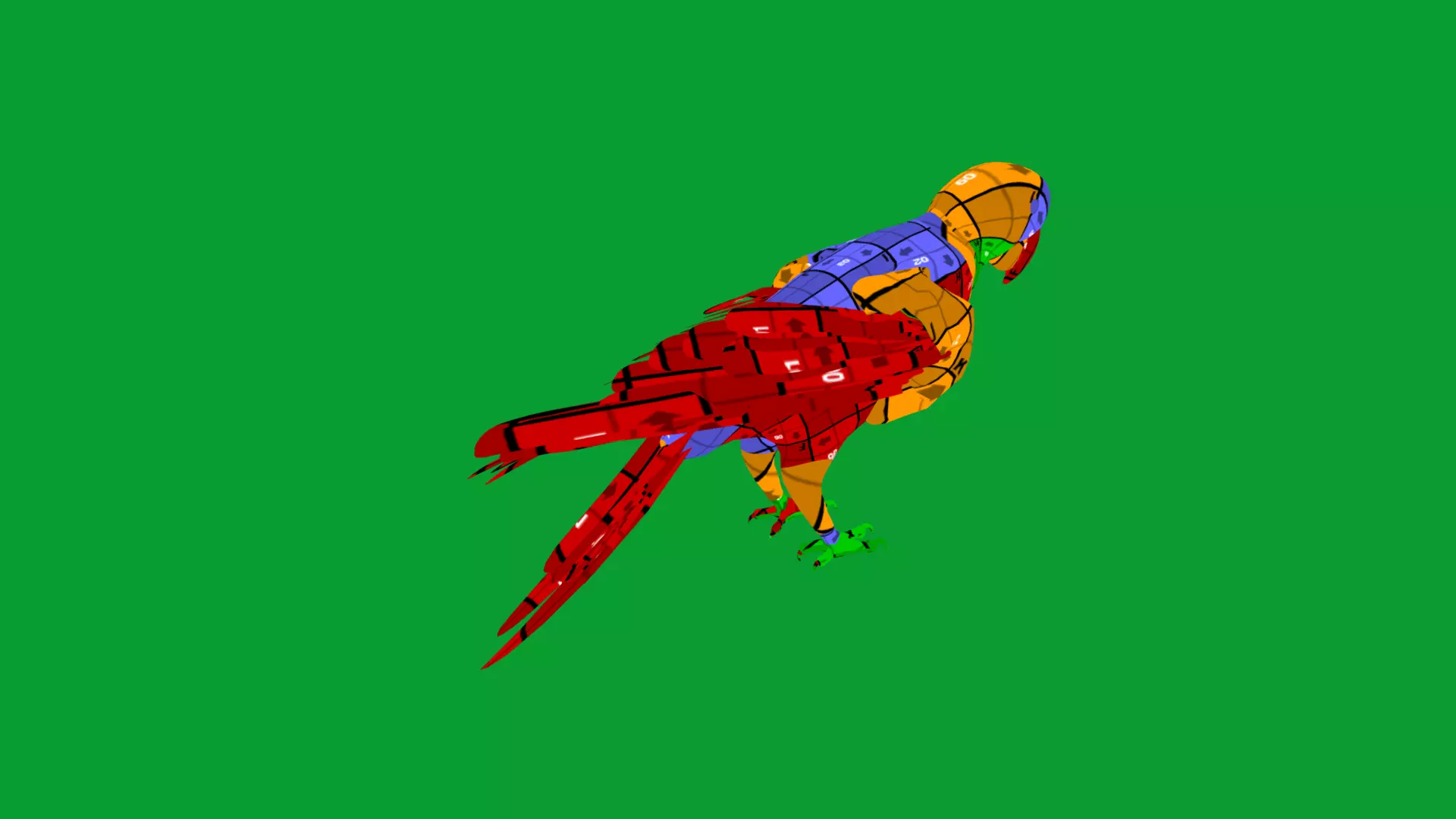 Chestnut Fronted Macaw Bird Low-poly 3D model_22