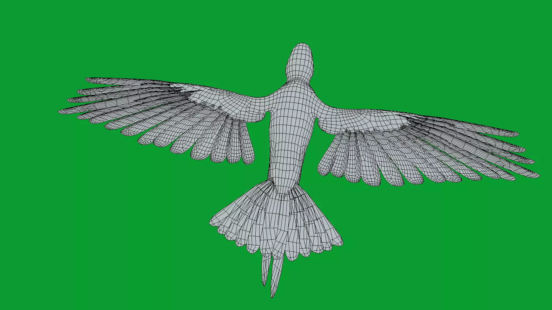 Chestnut Fronted Macaw Bird Low-poly 3D model_21