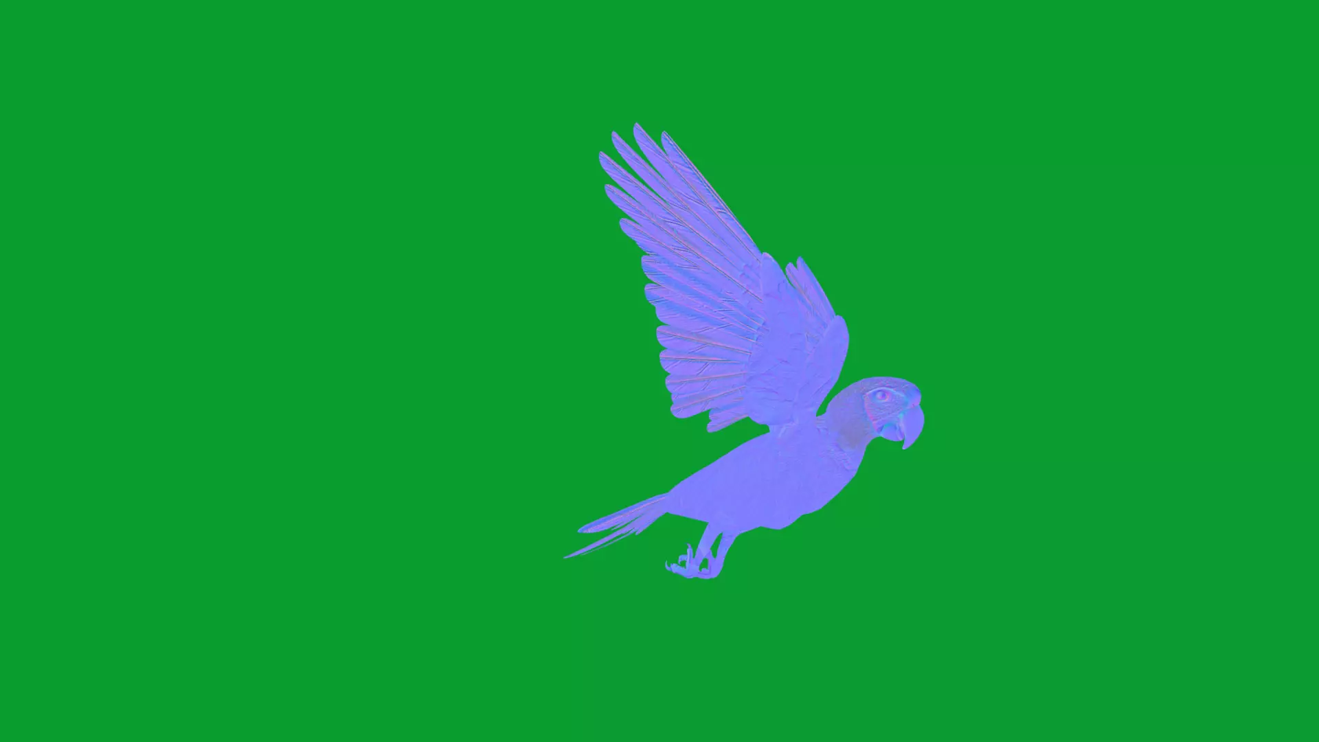 Chestnut Fronted Macaw Bird Low-poly 3D model_24