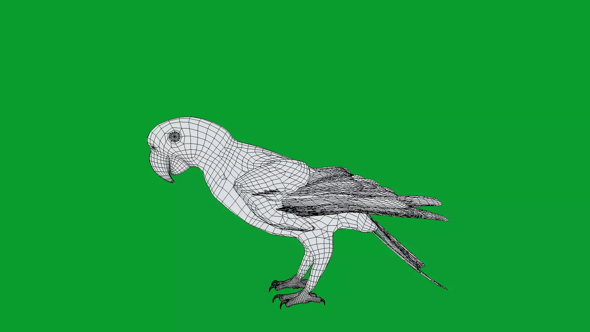 Chestnut Fronted Macaw Bird Low-poly 3D model_6