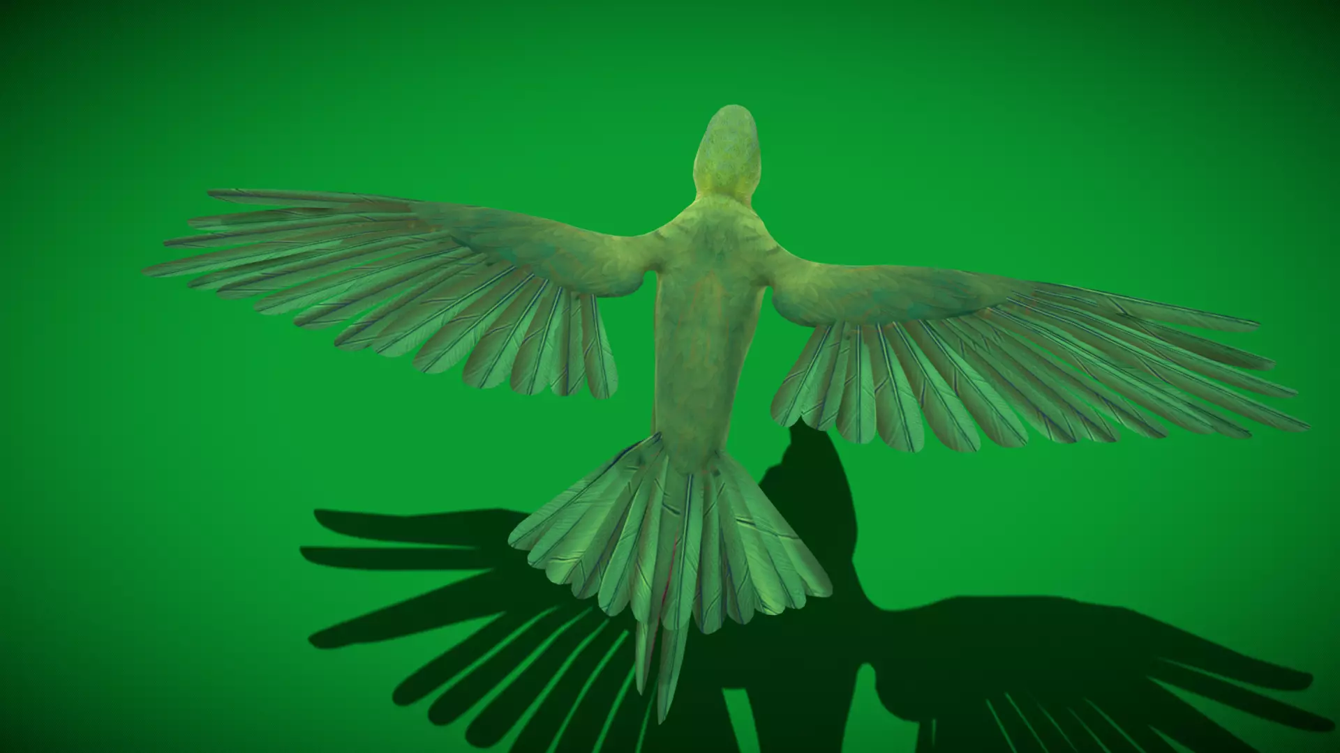 Chestnut Fronted Macaw Bird Low-poly 3D model_41