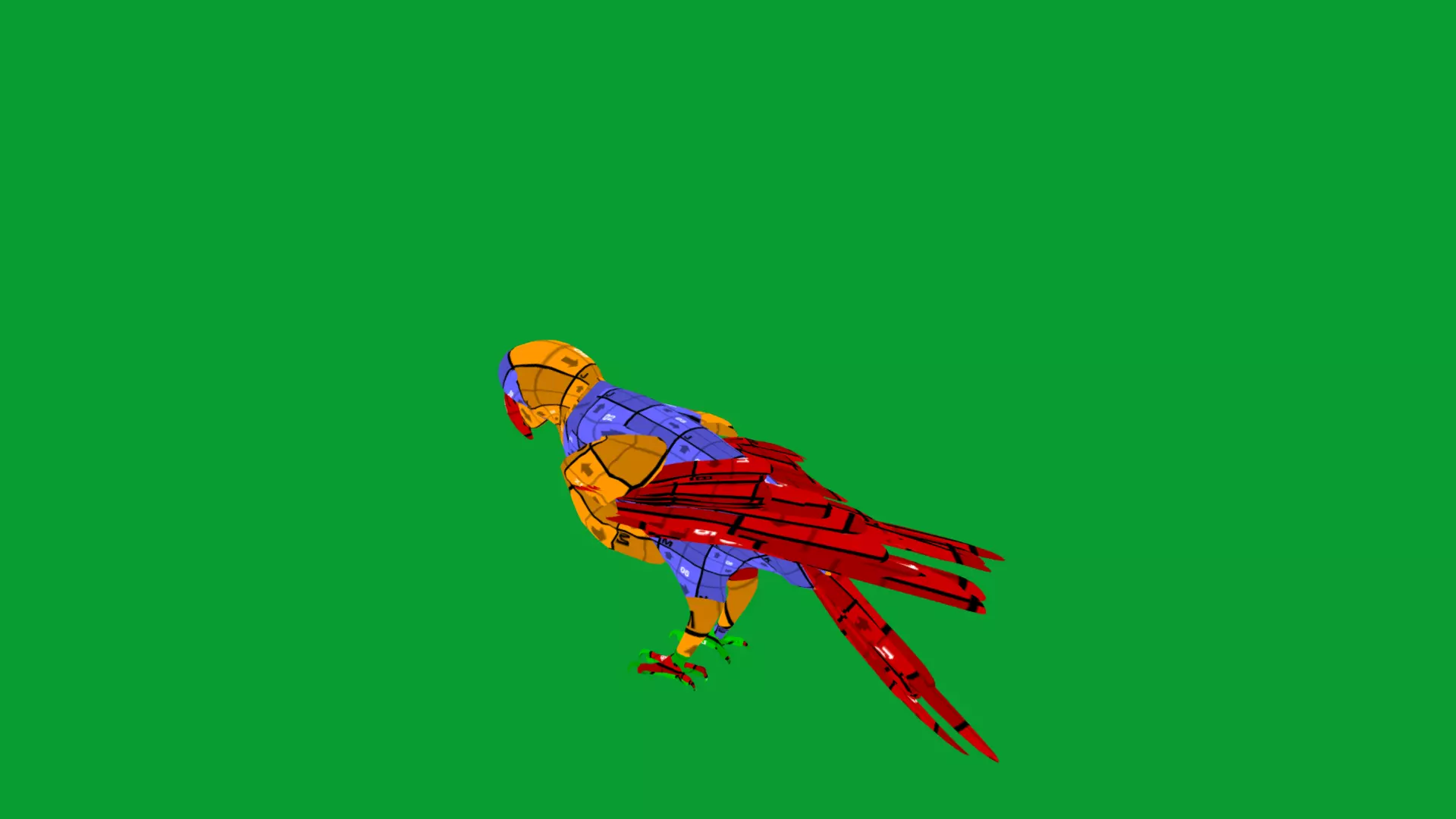 Chestnut Fronted Macaw Bird Low-poly 3D model_13