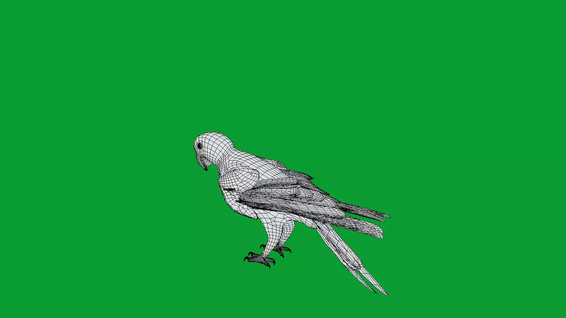 Chestnut Fronted Macaw Bird Low-poly 3D model_7