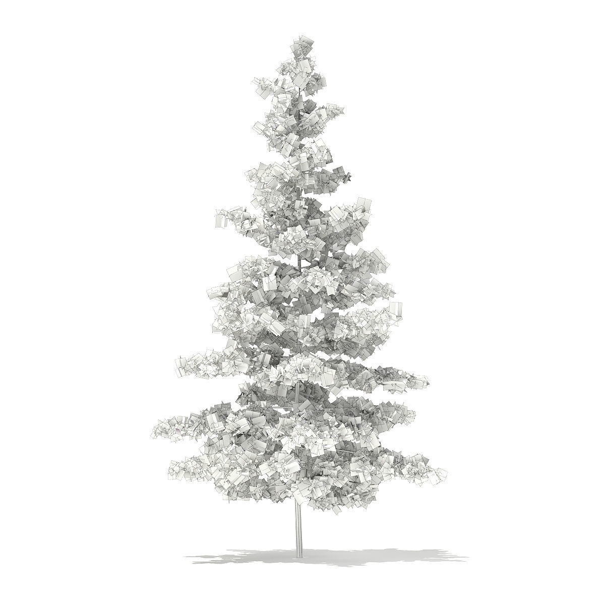 Blue Atlas Cedar Cedrus atlantica 2m 3D model_2