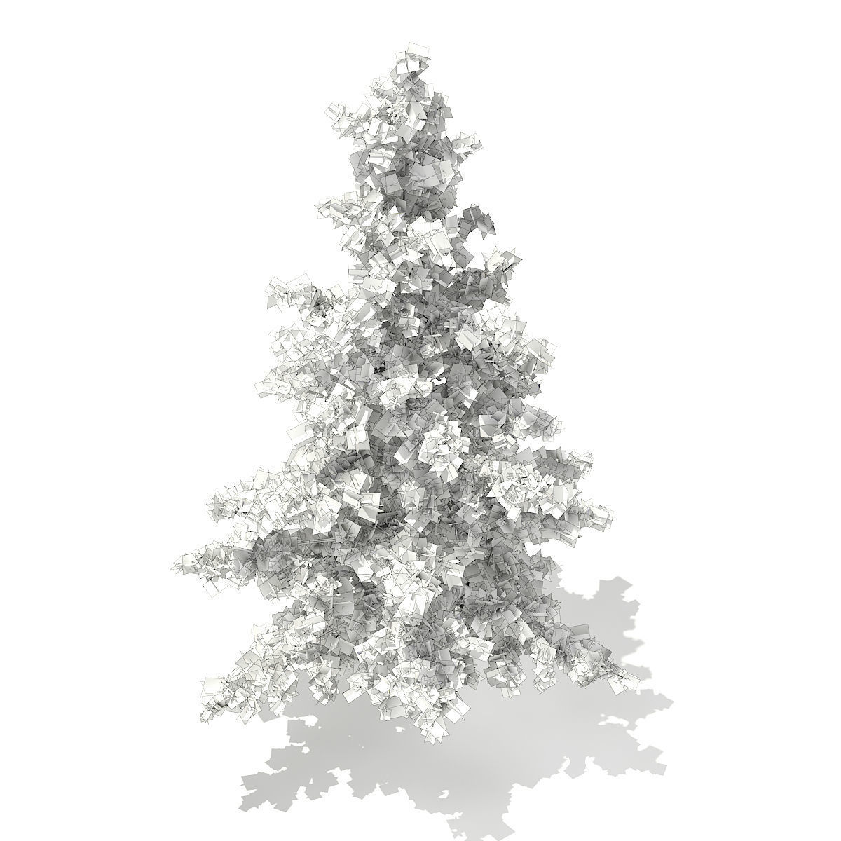 Blue Atlas Cedar Cedrus atlantica 2m 3D model_5