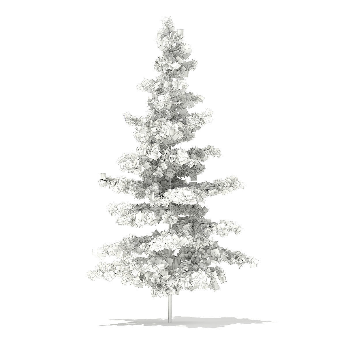 Blue Atlas Cedar Cedrus atlantica 2m 3D model_1