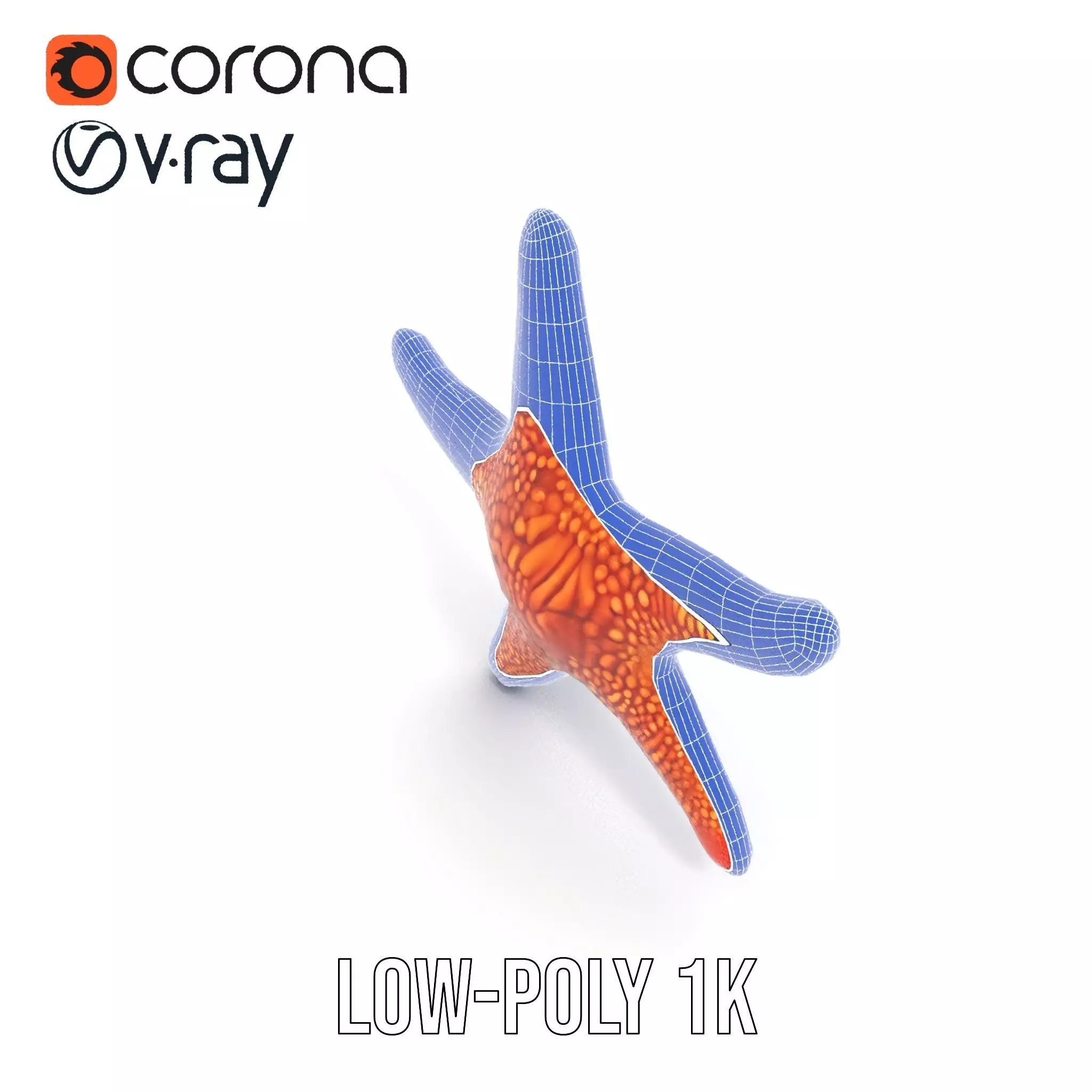 Vibrant Starfish model pack Low-poly 3D model_31