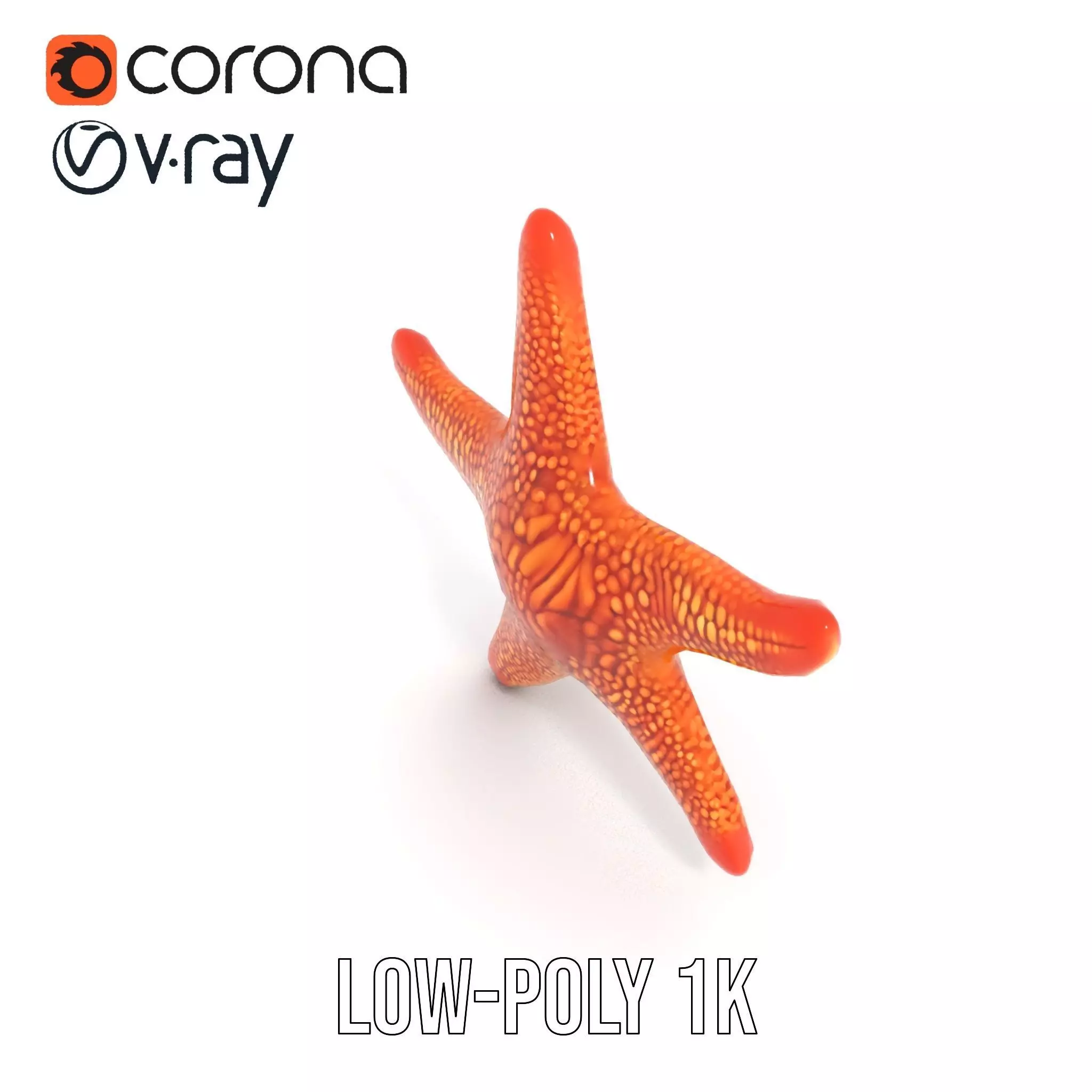 Vibrant Starfish model pack Low-poly 3D model_15