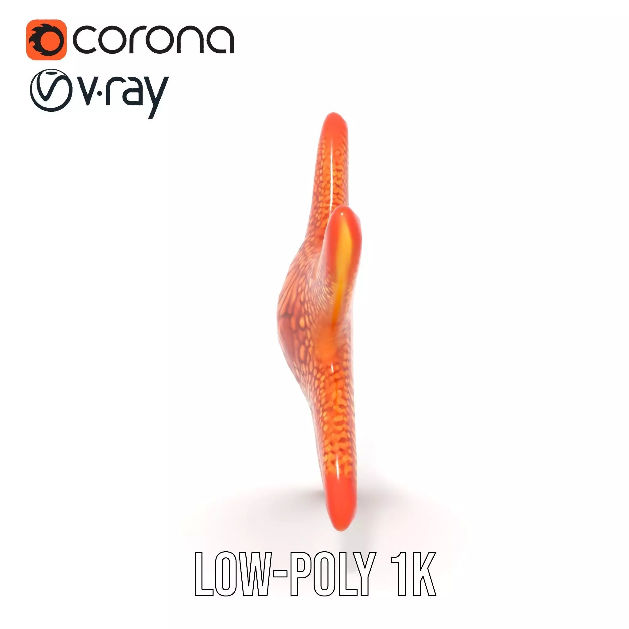 Vibrant Starfish model pack Low-poly 3D model_29