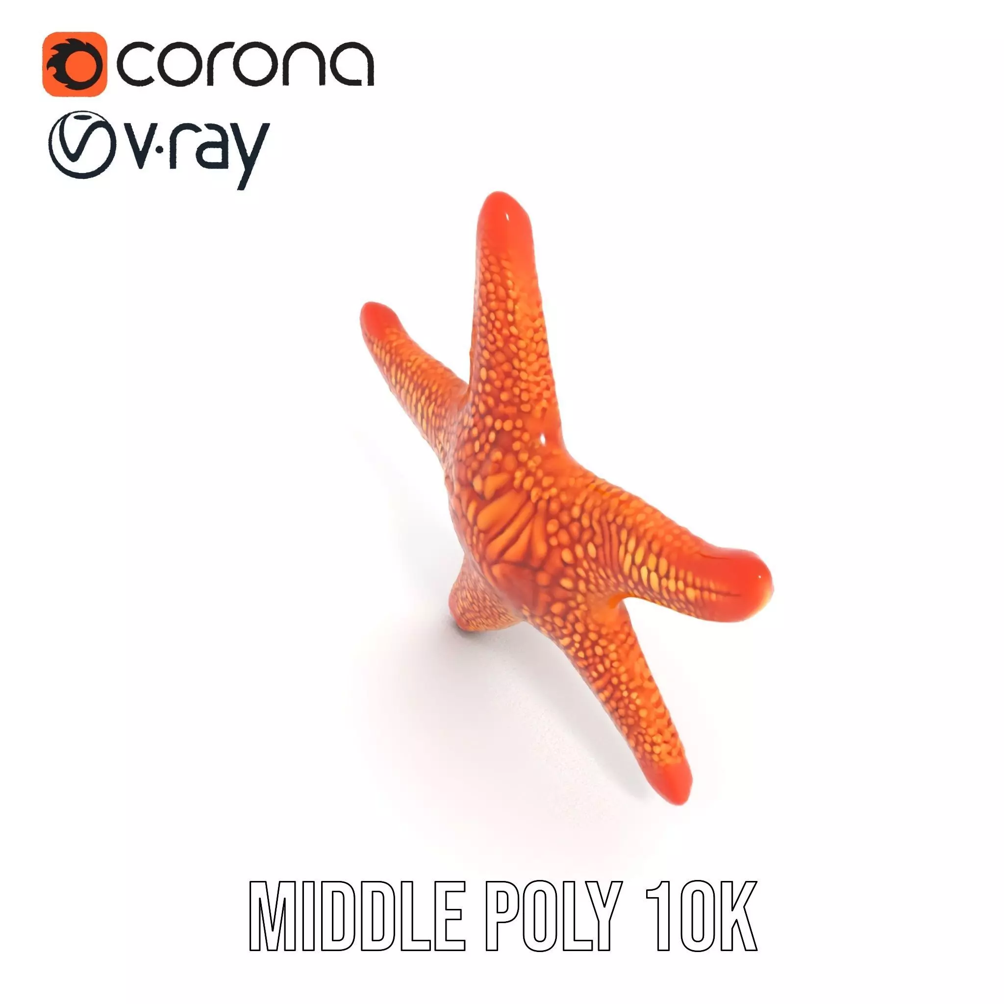 Vibrant Starfish model pack Low-poly 3D model_6