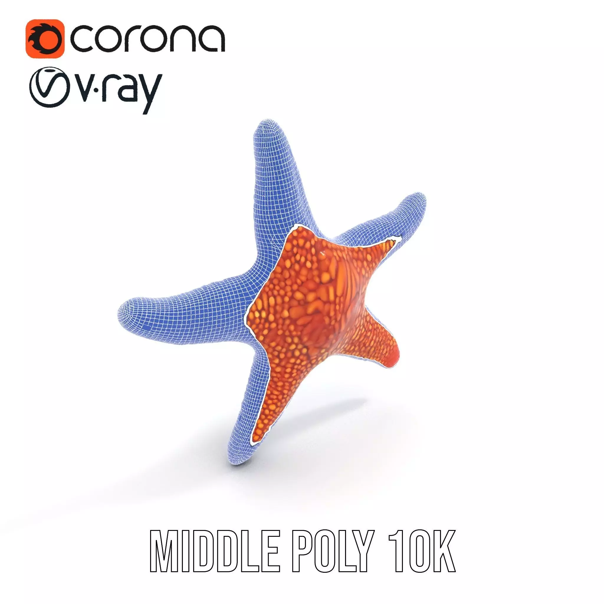 Vibrant Starfish model pack Low-poly 3D model_30