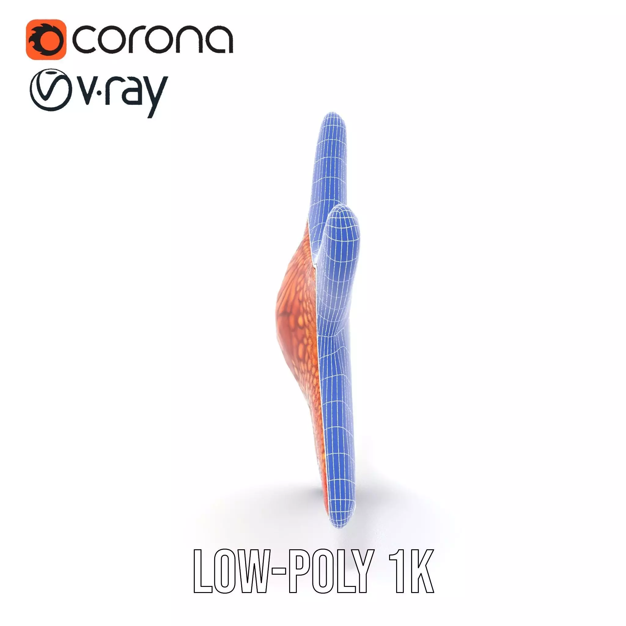 Vibrant Starfish model pack Low-poly 3D model_26