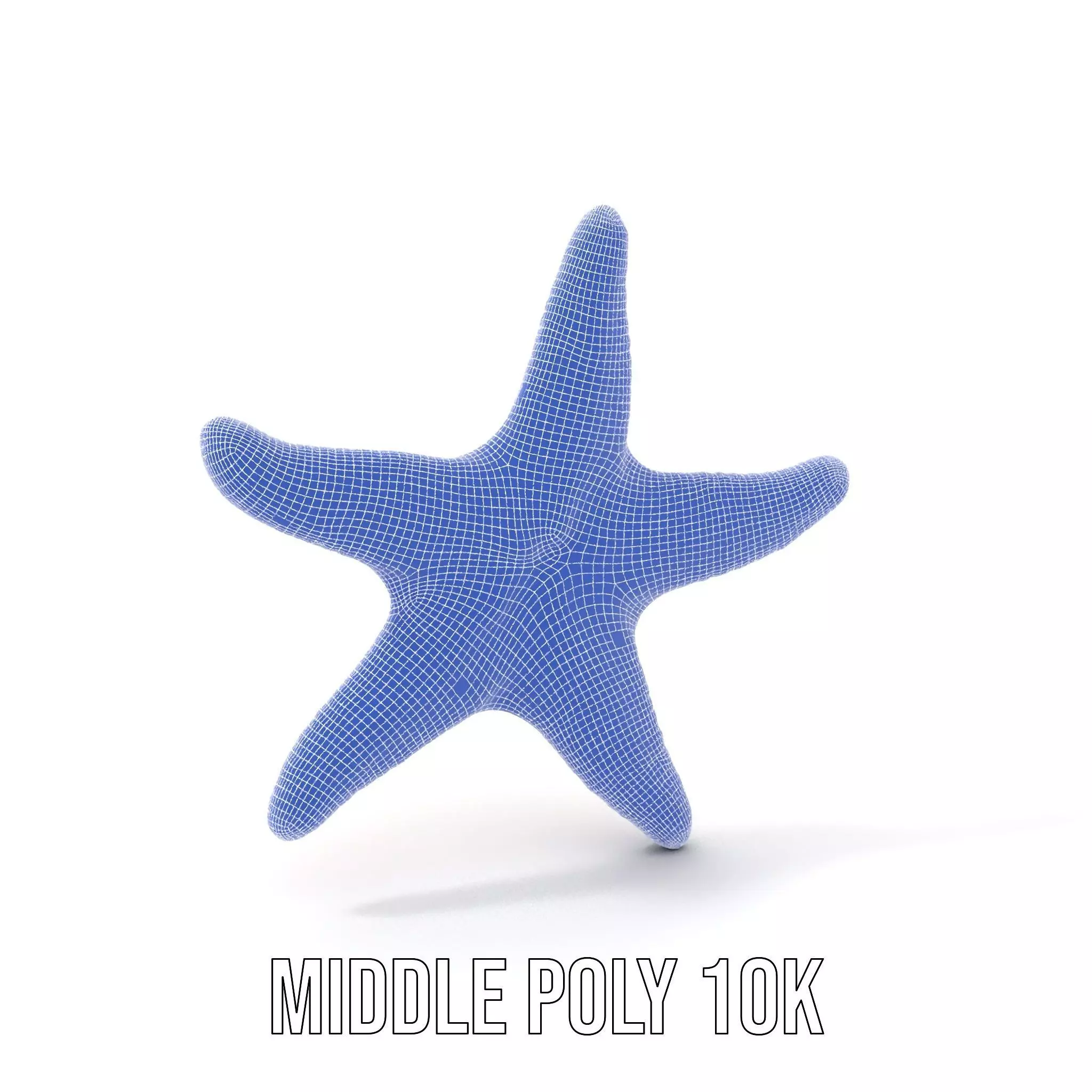 Vibrant Starfish model pack Low-poly 3D model_28