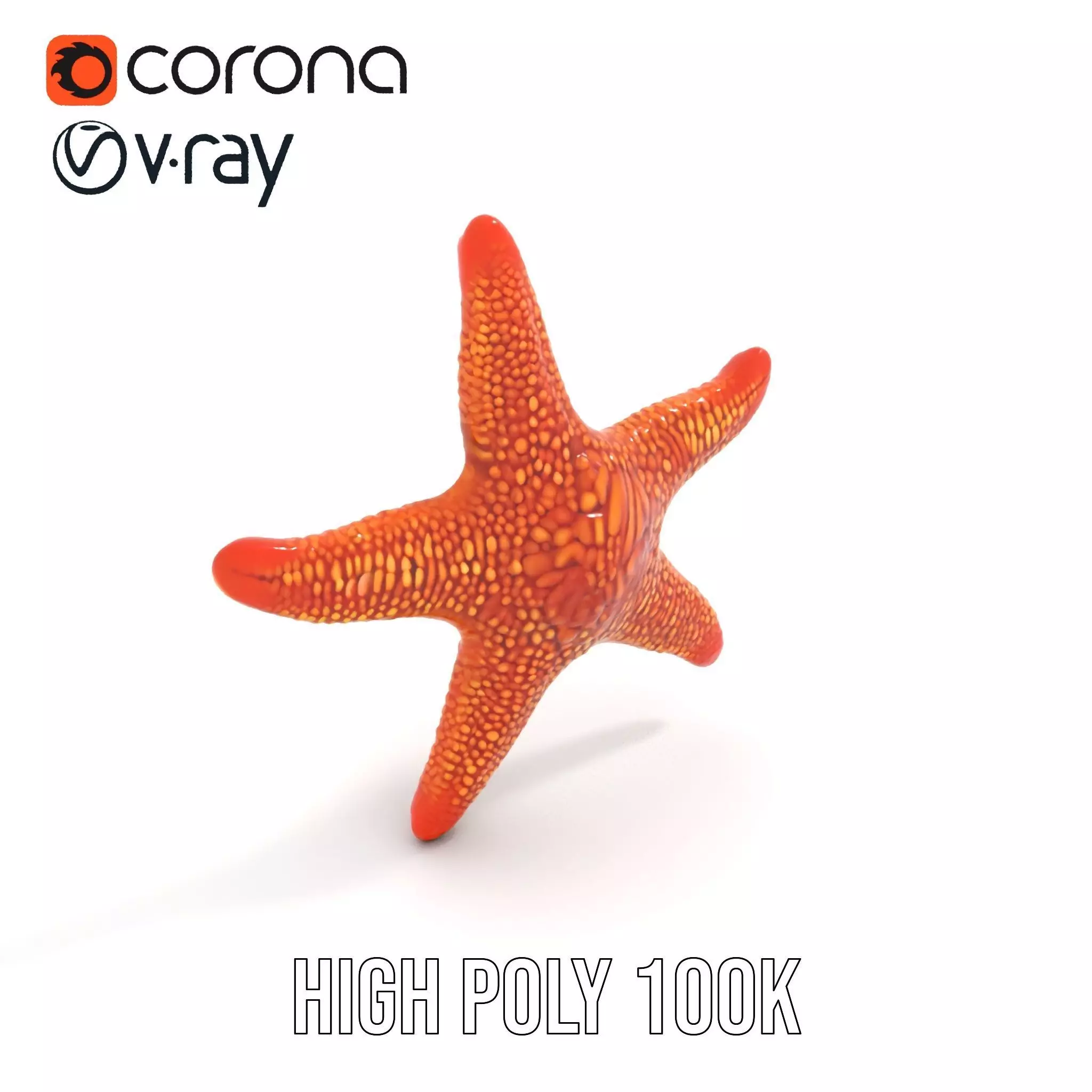 Vibrant Starfish model pack Low-poly 3D model_22