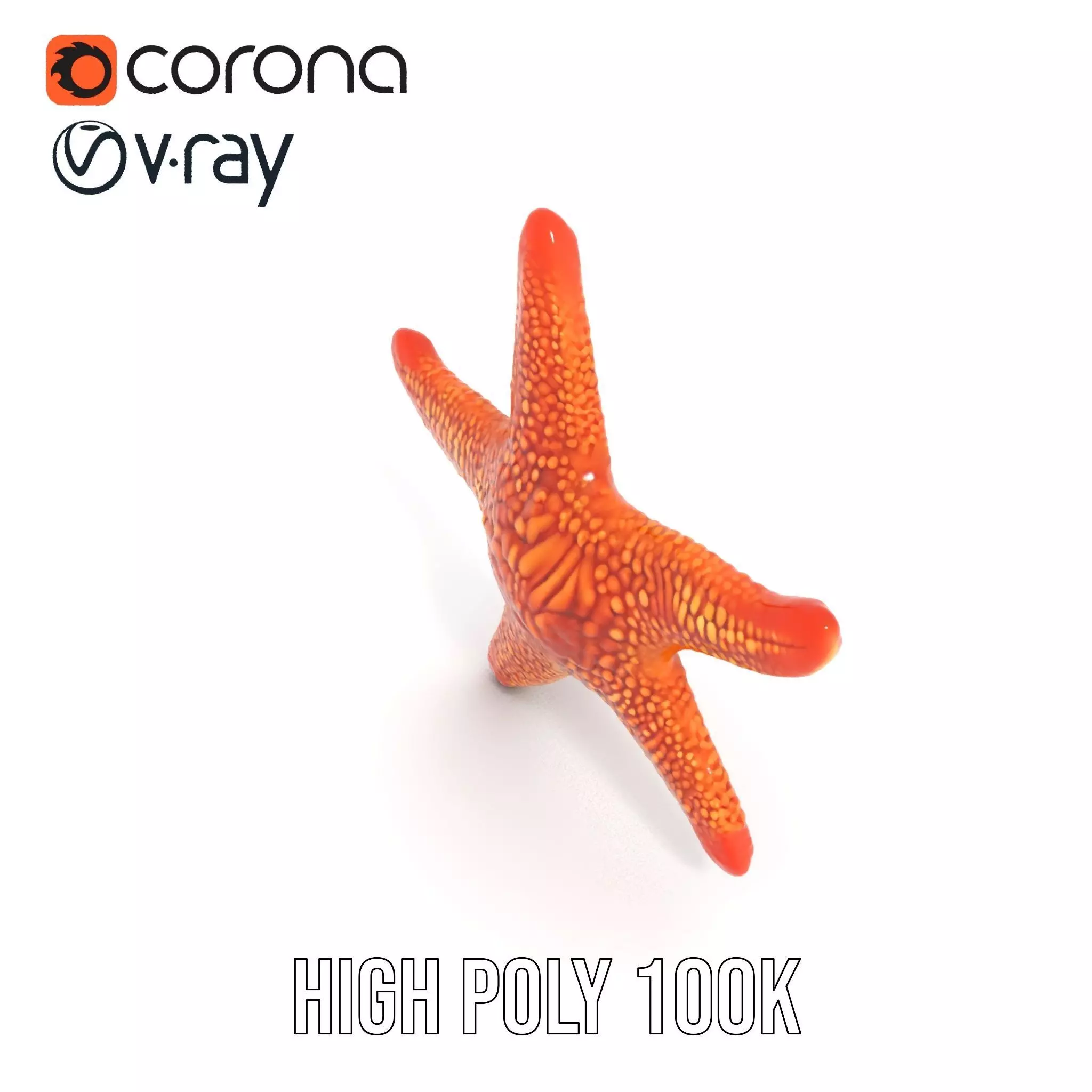 Vibrant Starfish model pack Low-poly 3D model_32