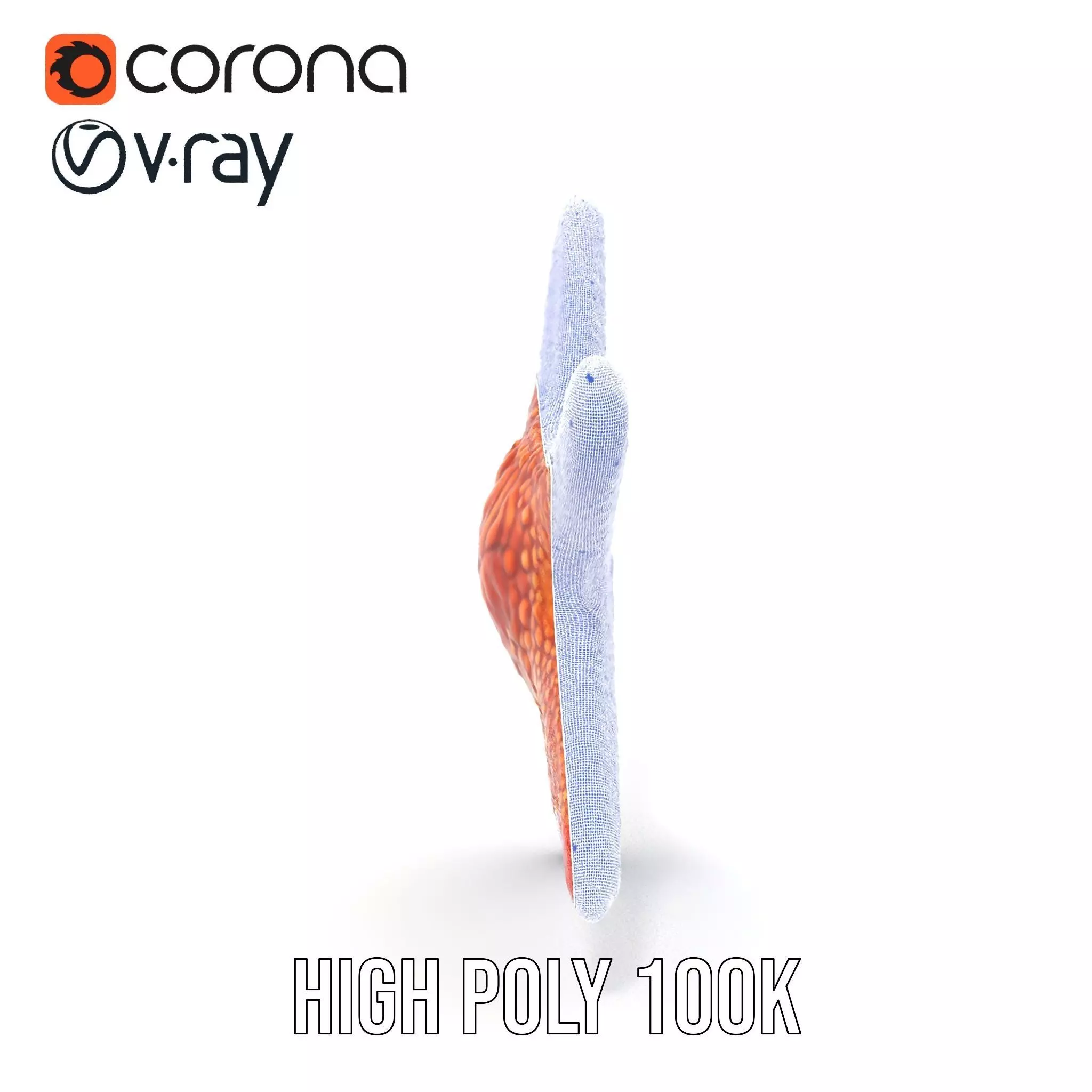 Vibrant Starfish model pack Low-poly 3D model_33