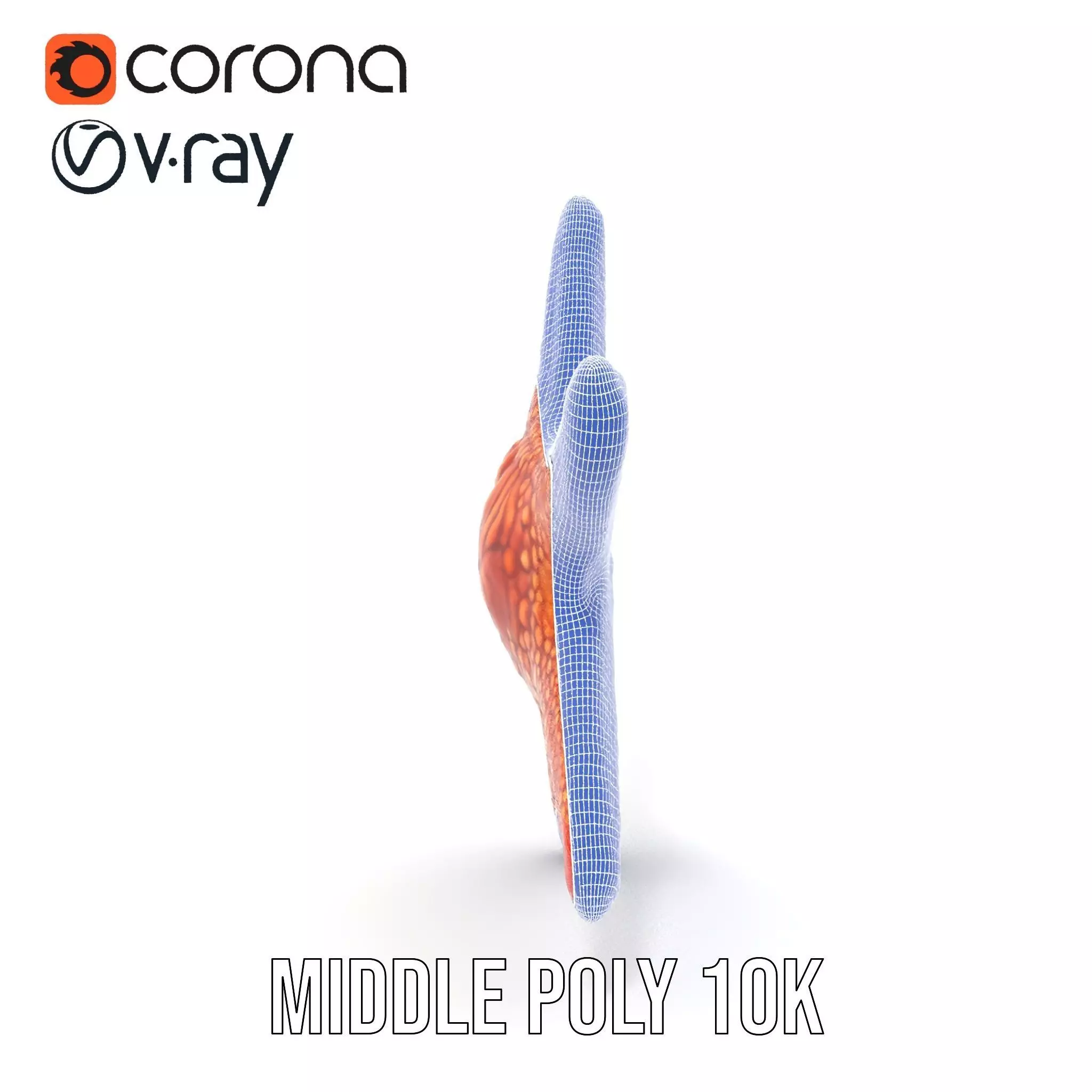 Vibrant Starfish model pack Low-poly 3D model_20