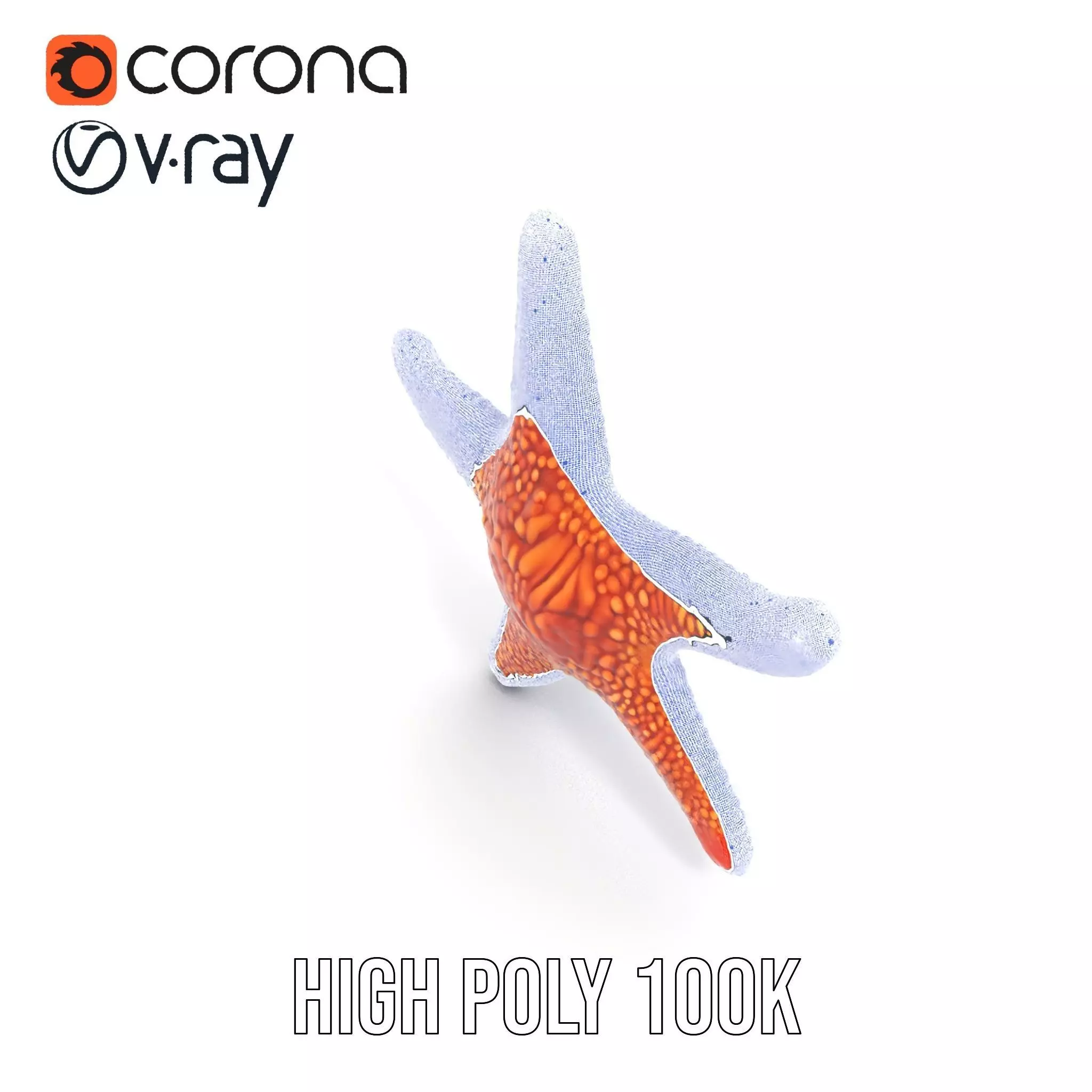 Vibrant Starfish model pack Low-poly 3D model_35