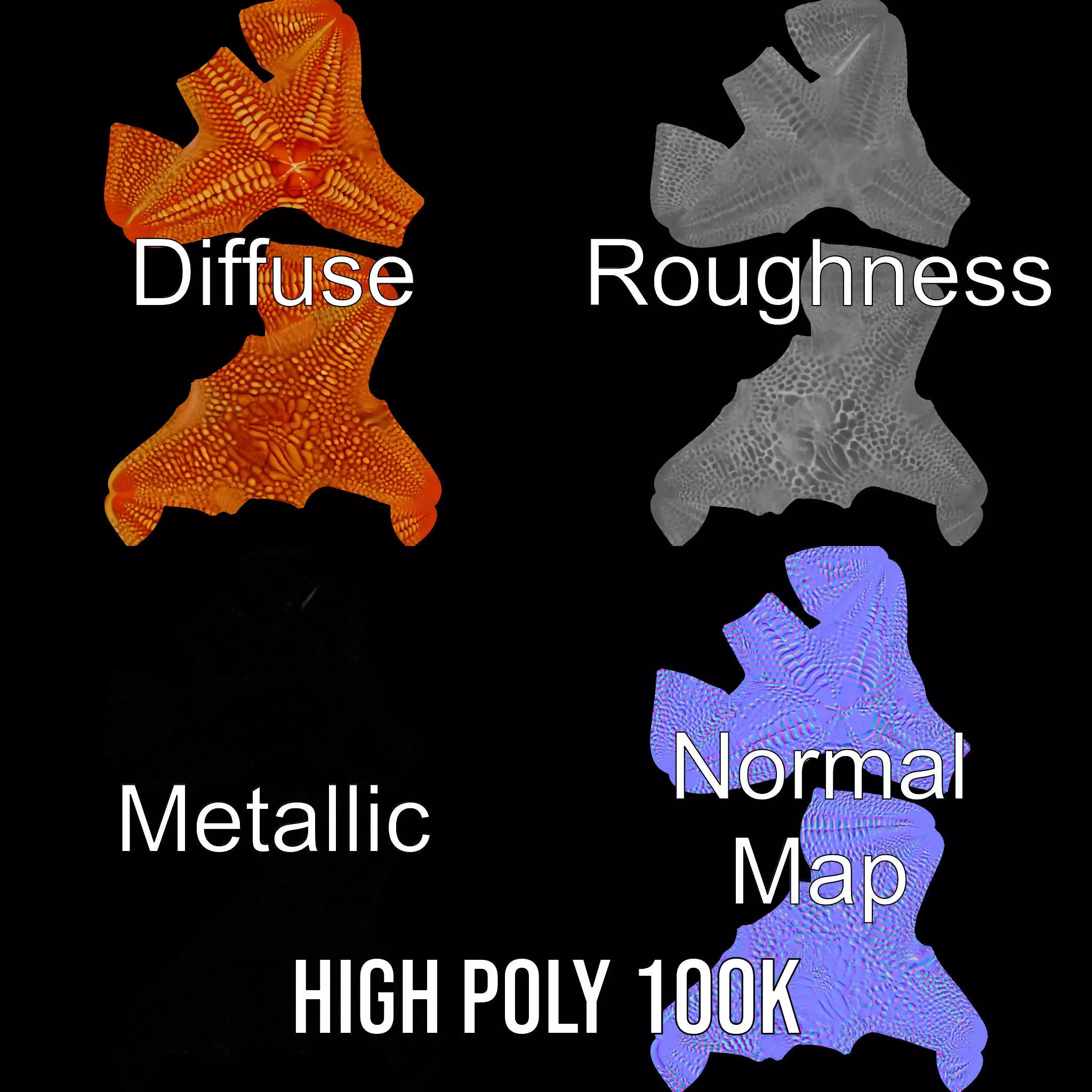 Vibrant Starfish model pack Low-poly 3D model_4