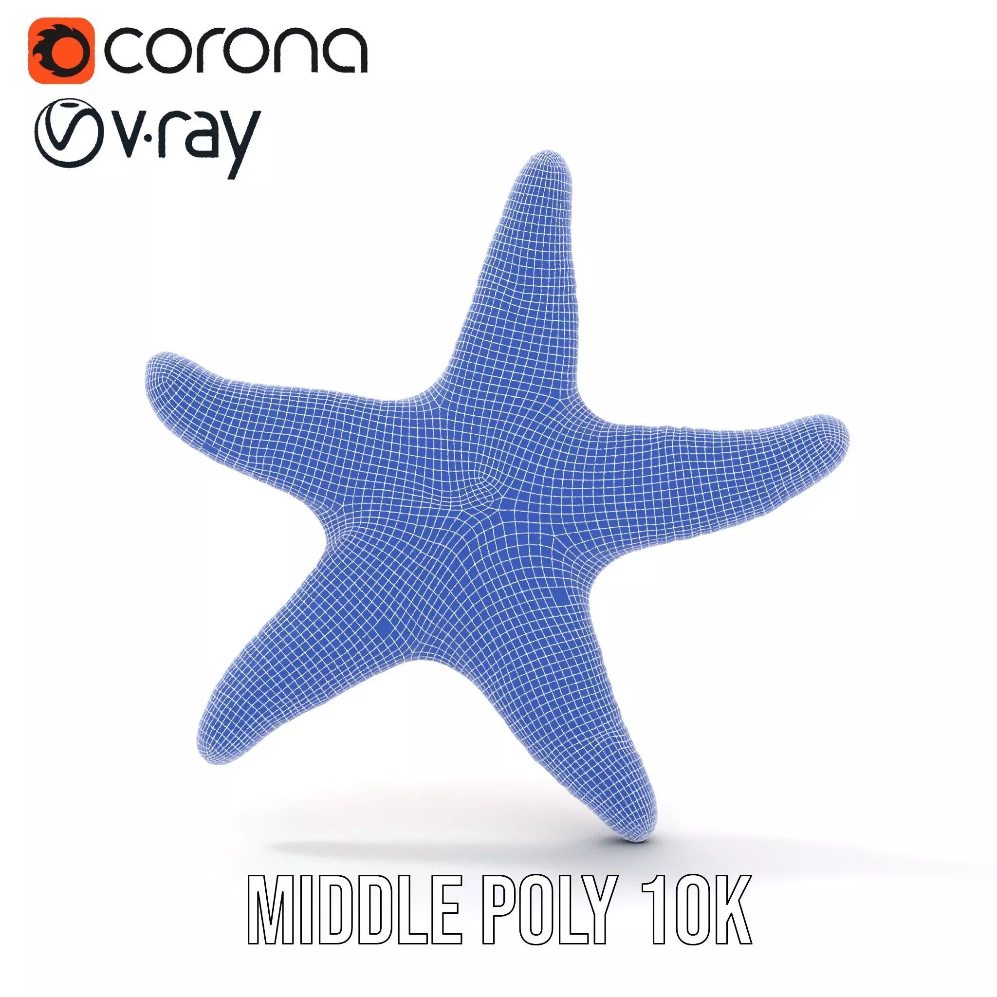 Vibrant Starfish model pack Low-poly 3D model_25
