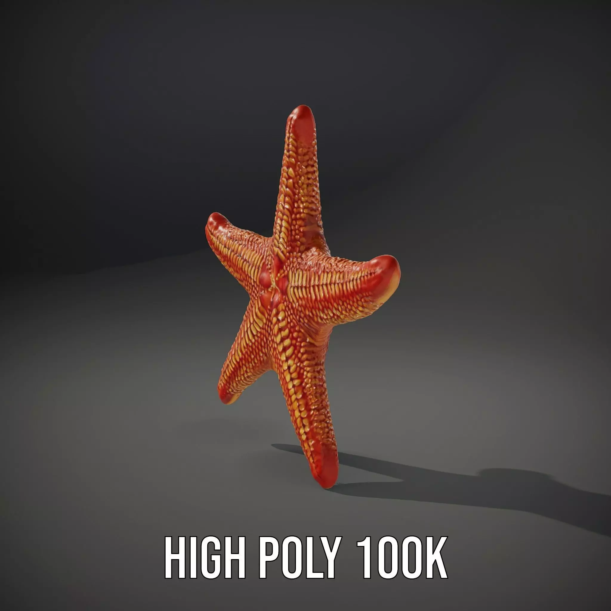 Vibrant Starfish model pack Low-poly 3D model_11