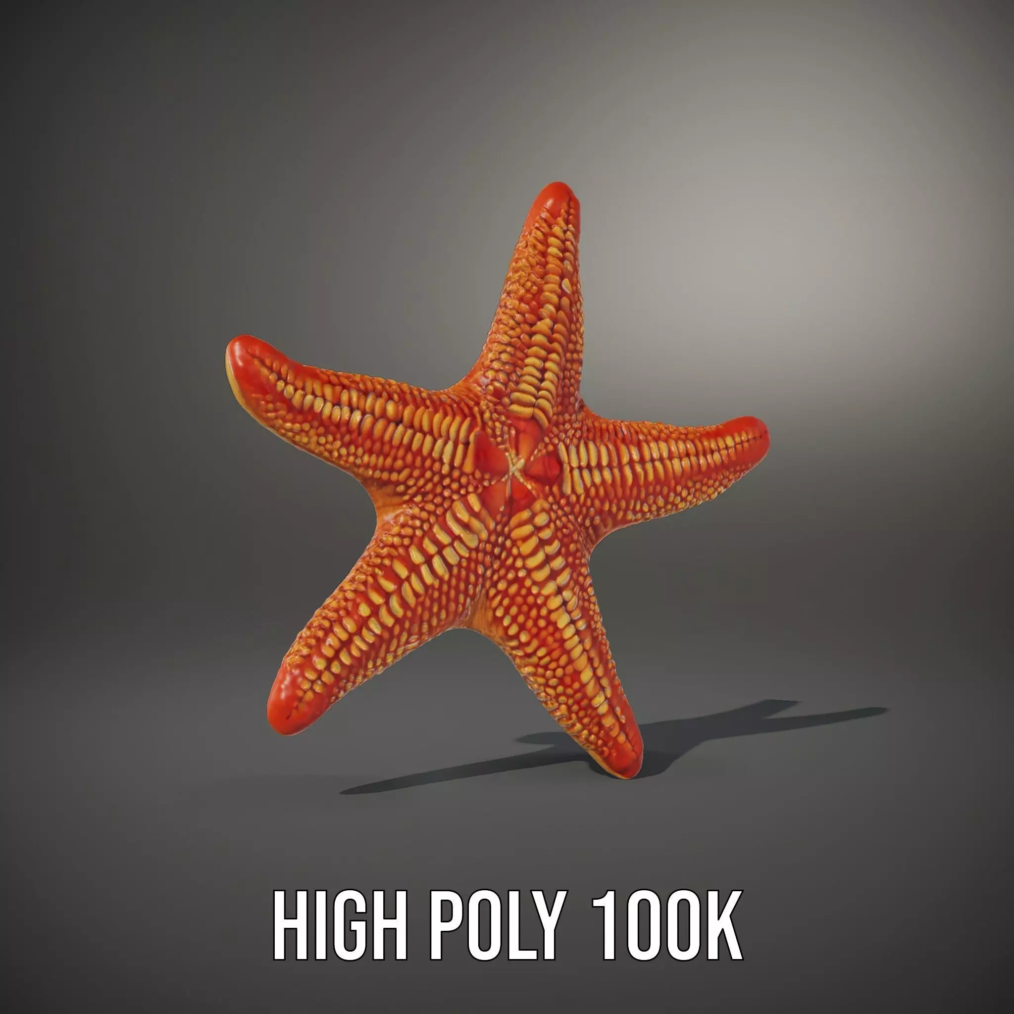 Vibrant Starfish model pack Low-poly 3D model_9