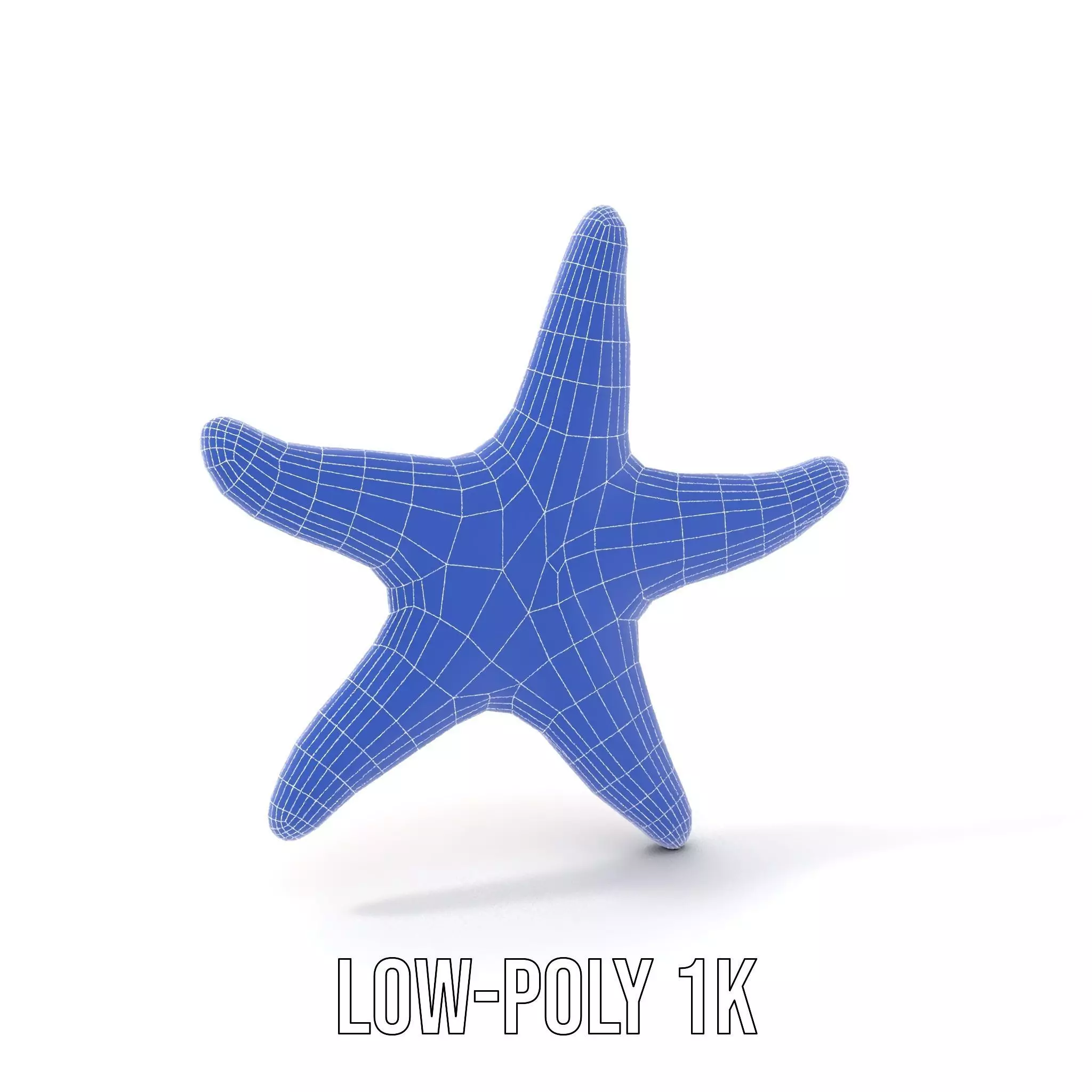 Vibrant Starfish model pack Low-poly 3D model_10