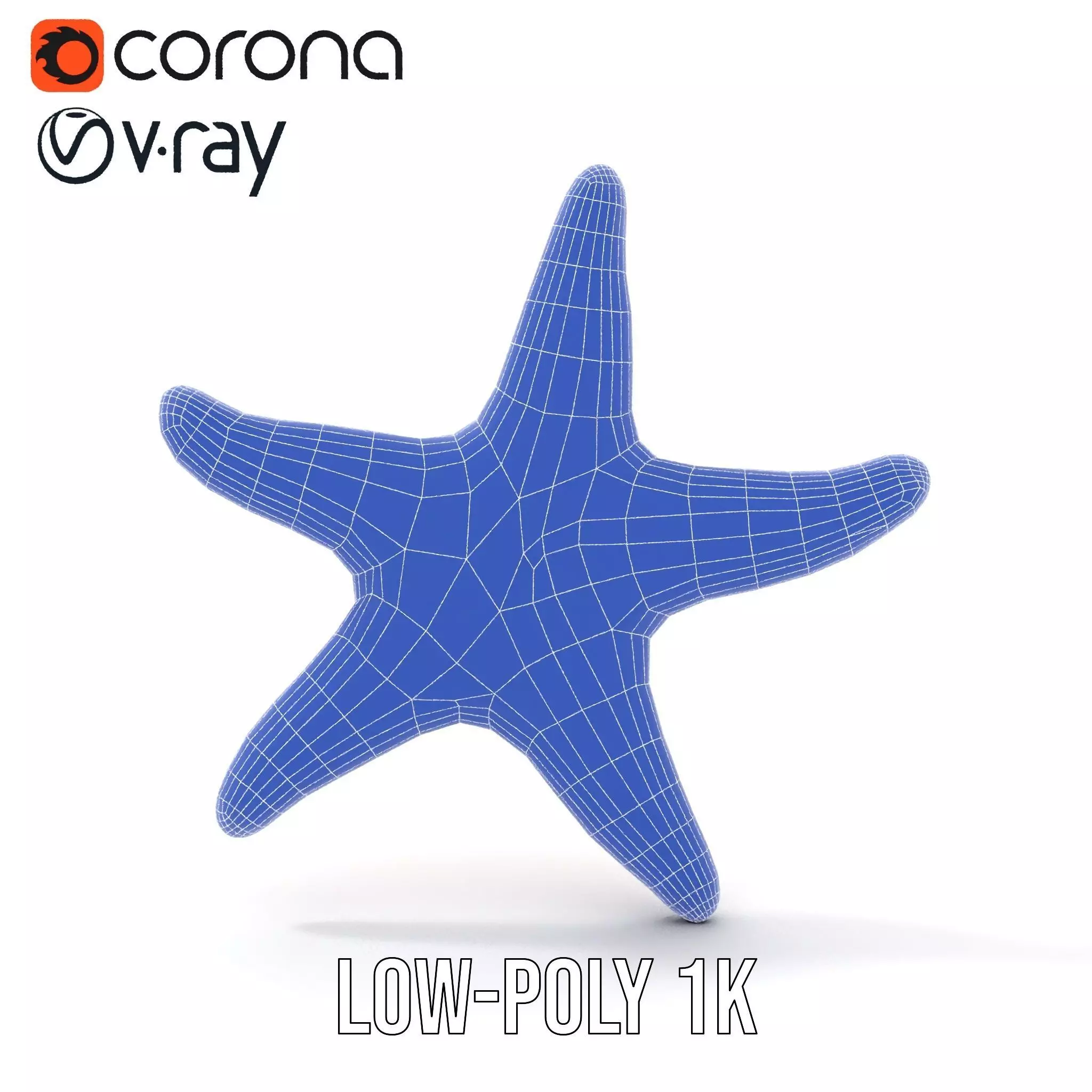 Vibrant Starfish model pack Low-poly 3D model_13