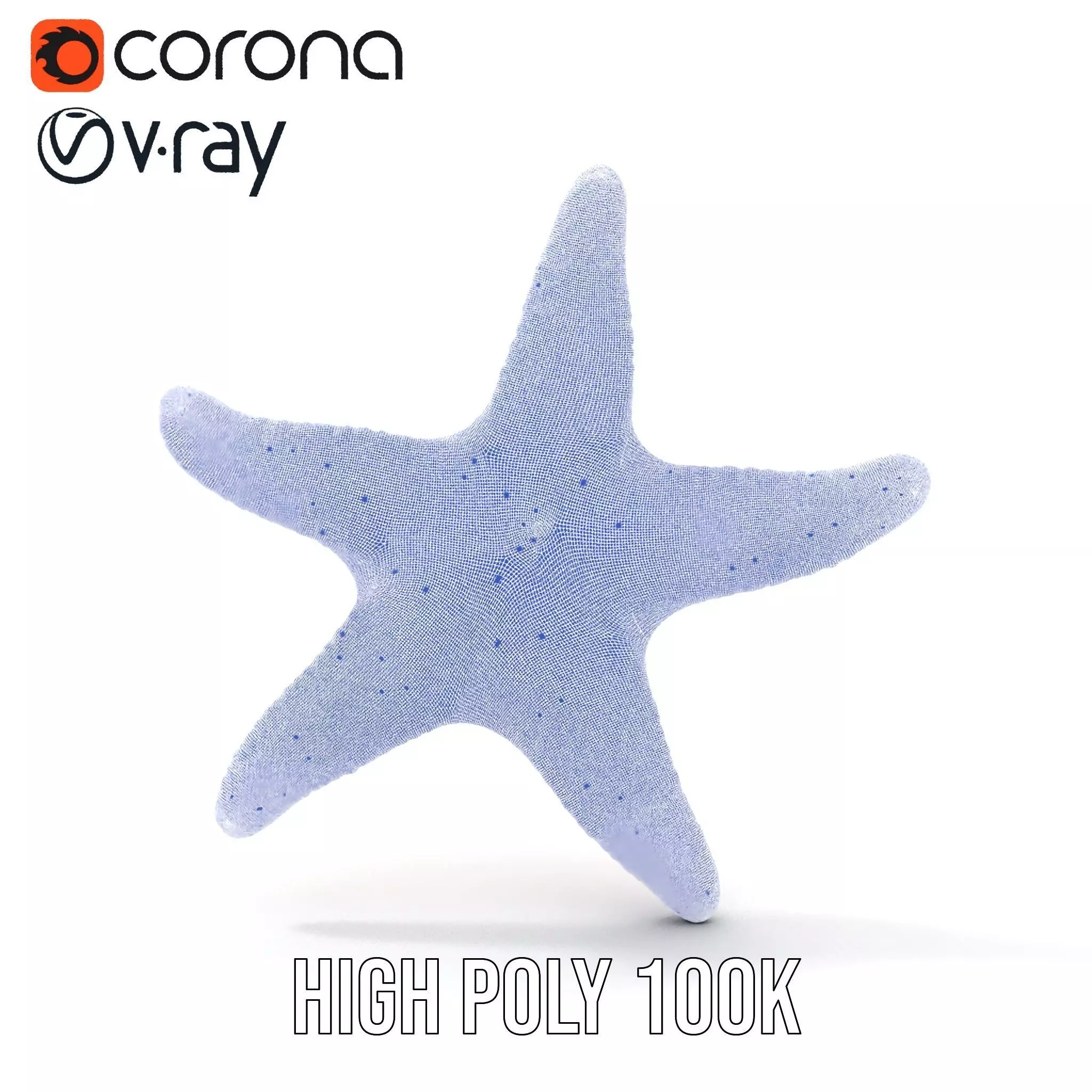 Vibrant Starfish model pack Low-poly 3D model_34