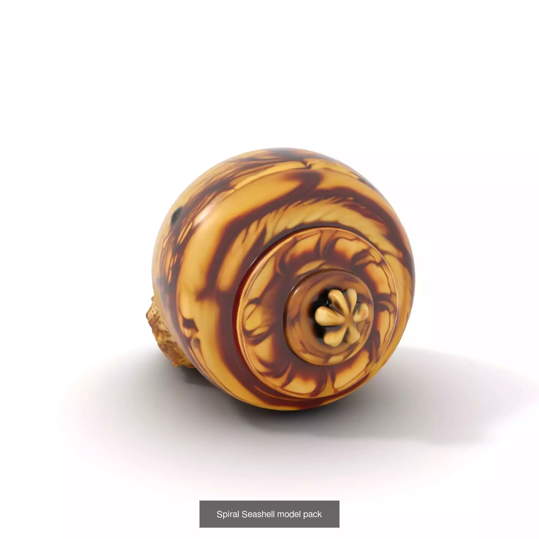 Beach Essentials 3D Models Collection _35