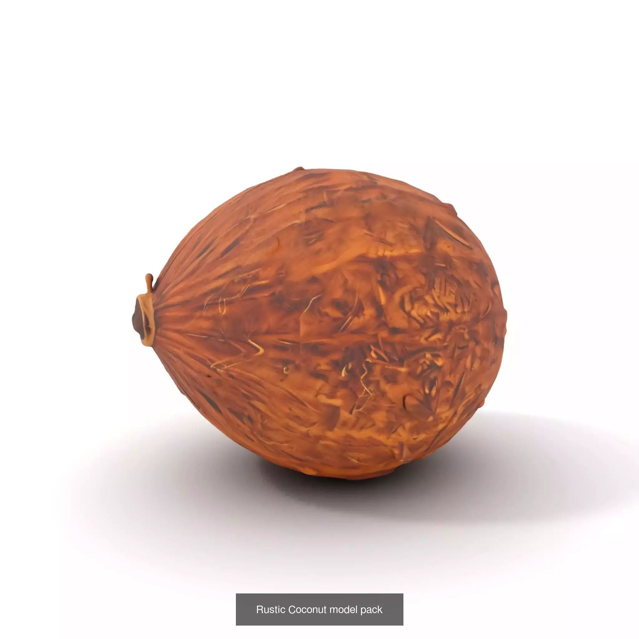 Beach Essentials 3D Models Collection _36