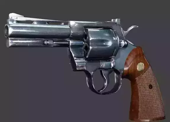 Revolver person